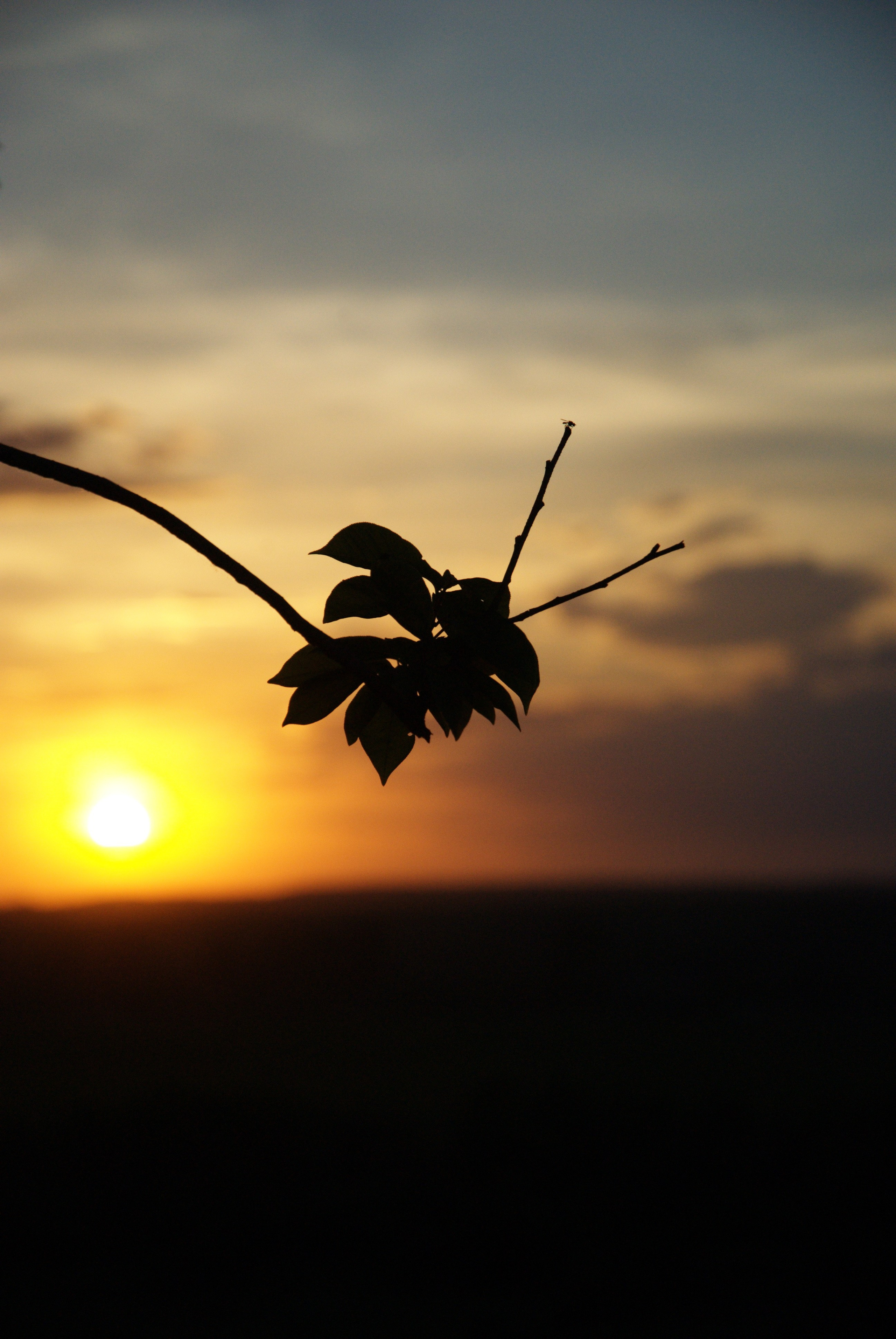 ЦВЕТНЫЕ ФОТОГРАФИИ. Никита Аничкин фото и видео оператор из России
