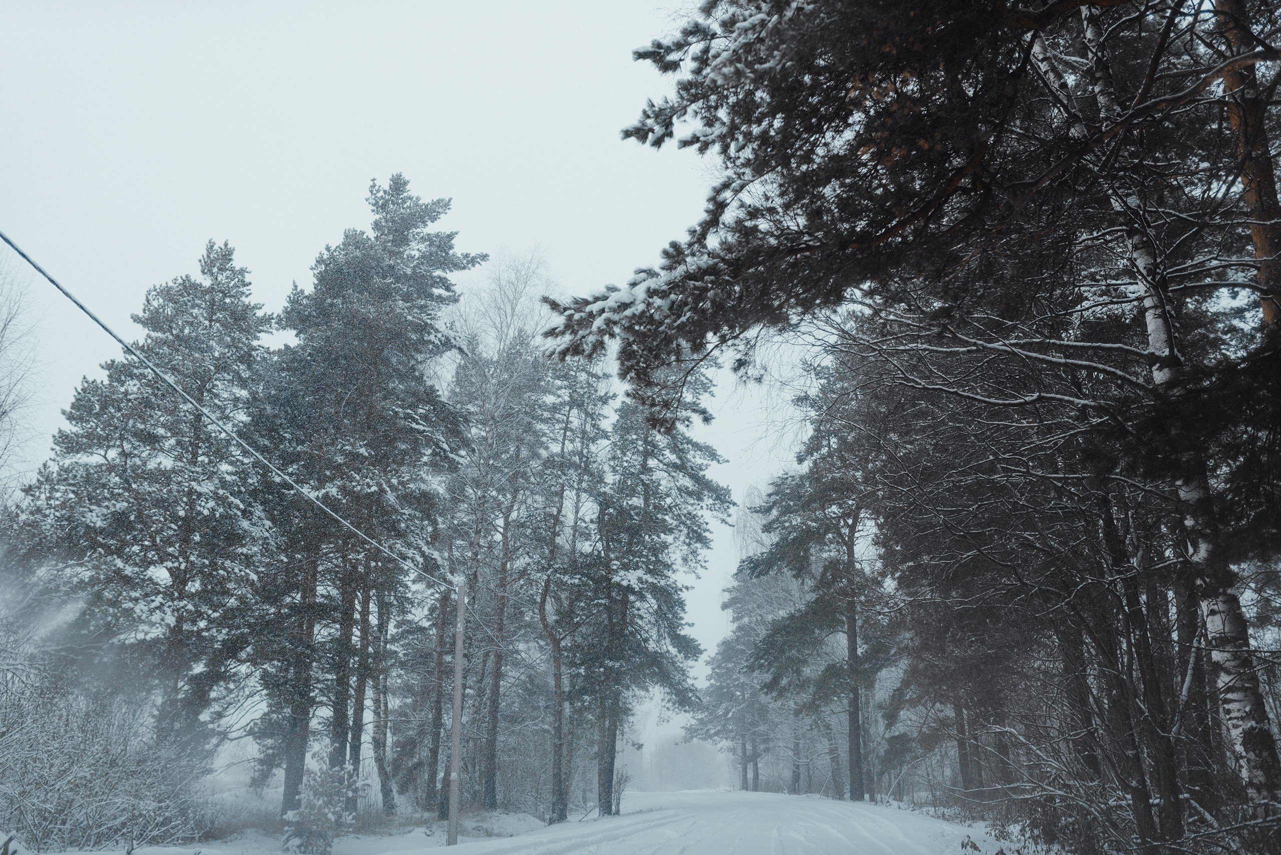 Невидимый спектр. Komonev