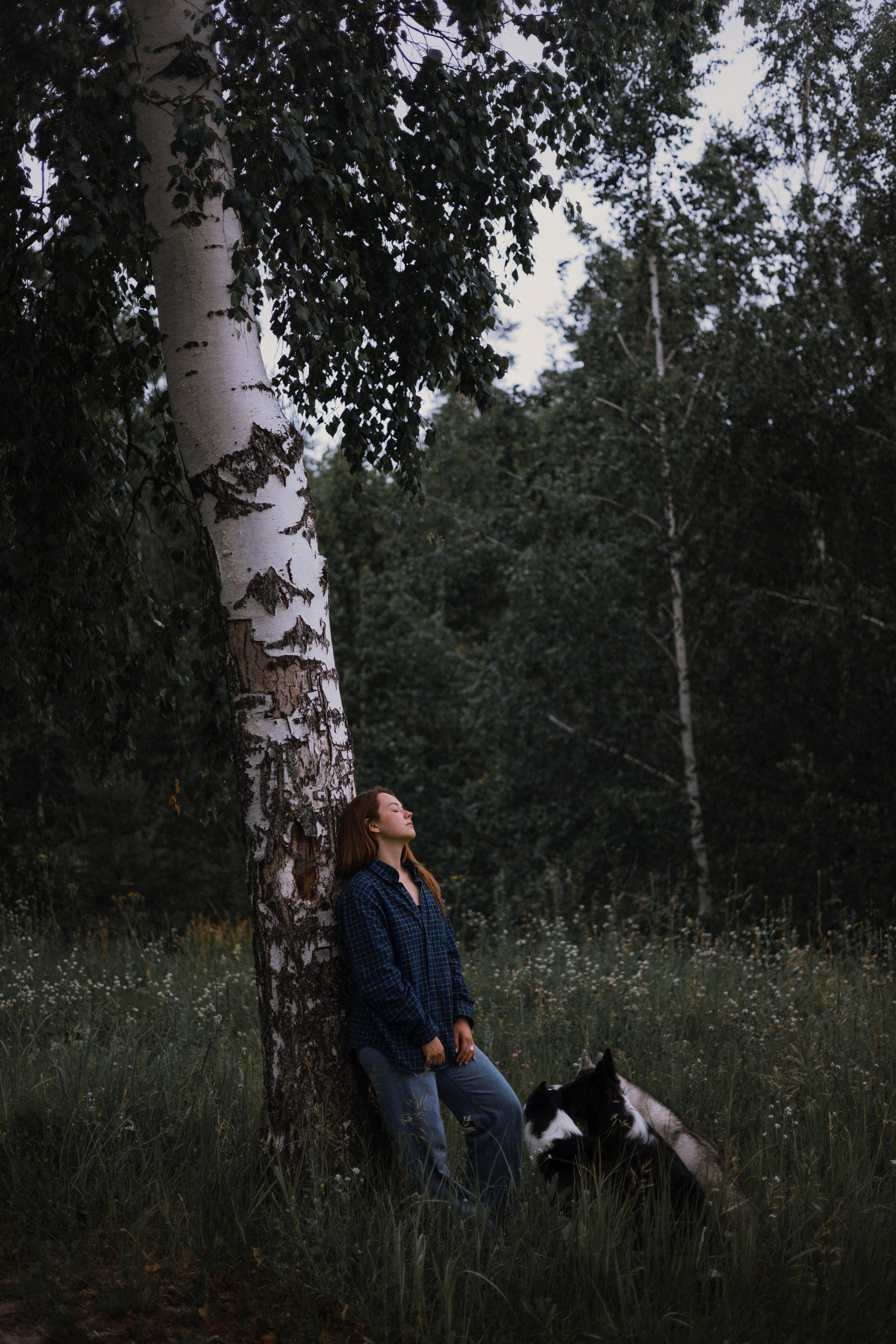 Аделя, Вандер, Шайна и Бая. Фотограф-анималист Богданова Полина