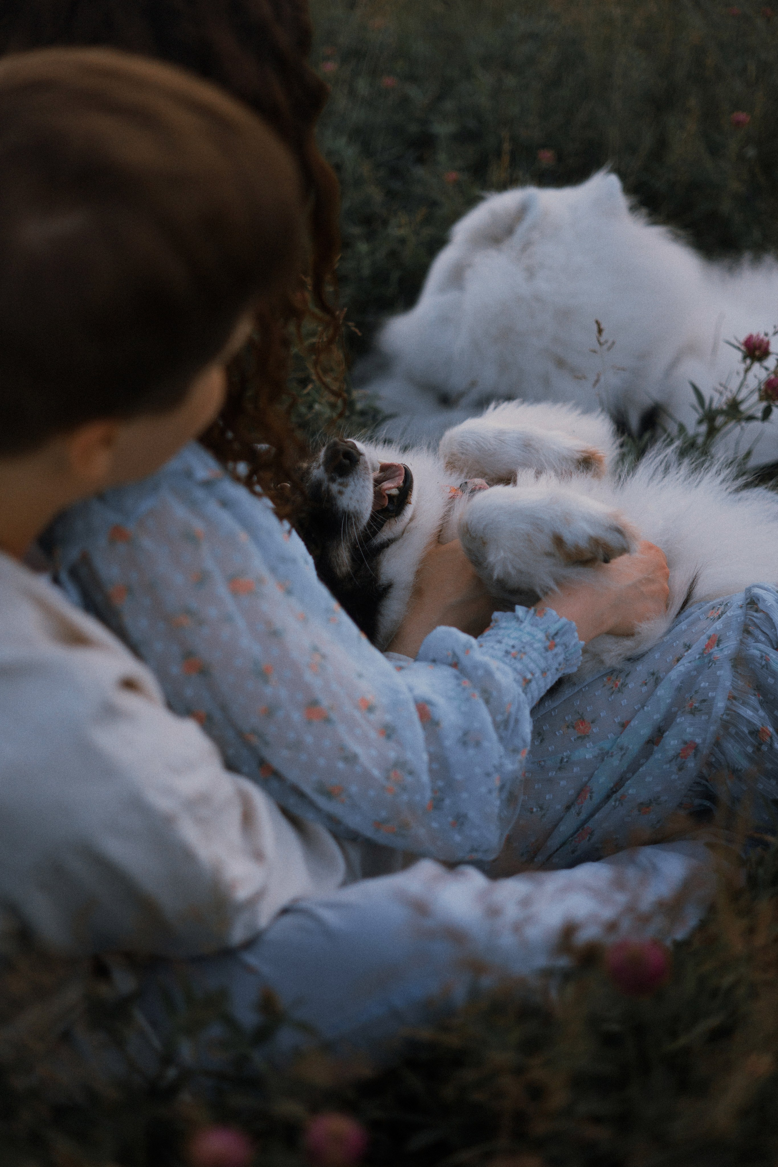 Валерия, Илья, Вита и Умка. Фотограф-анималист Богданова Полина