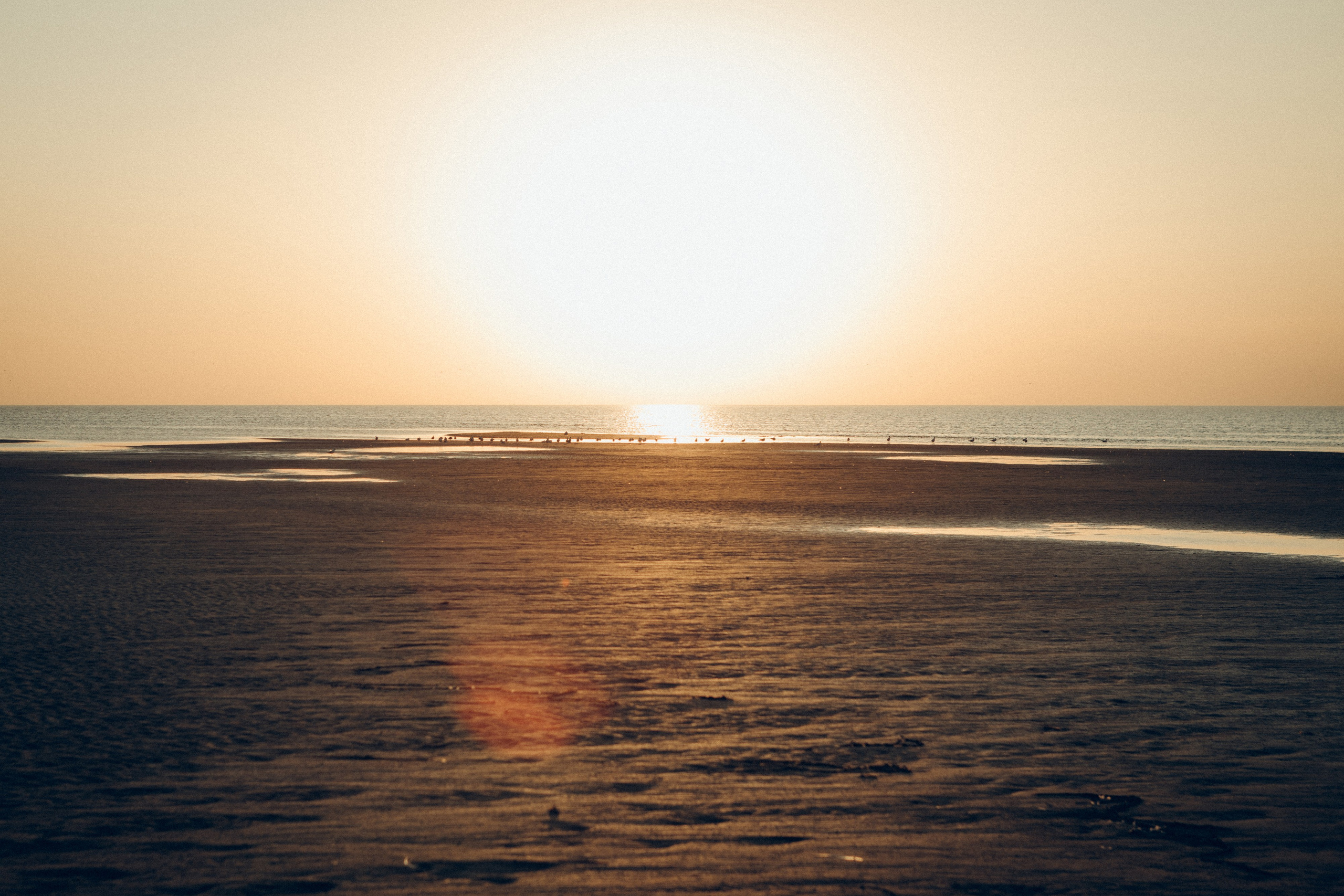 Денис & Юля. Семейный фотограф и фотограф на роды в Ростове-на-Дону Мухина Виктория