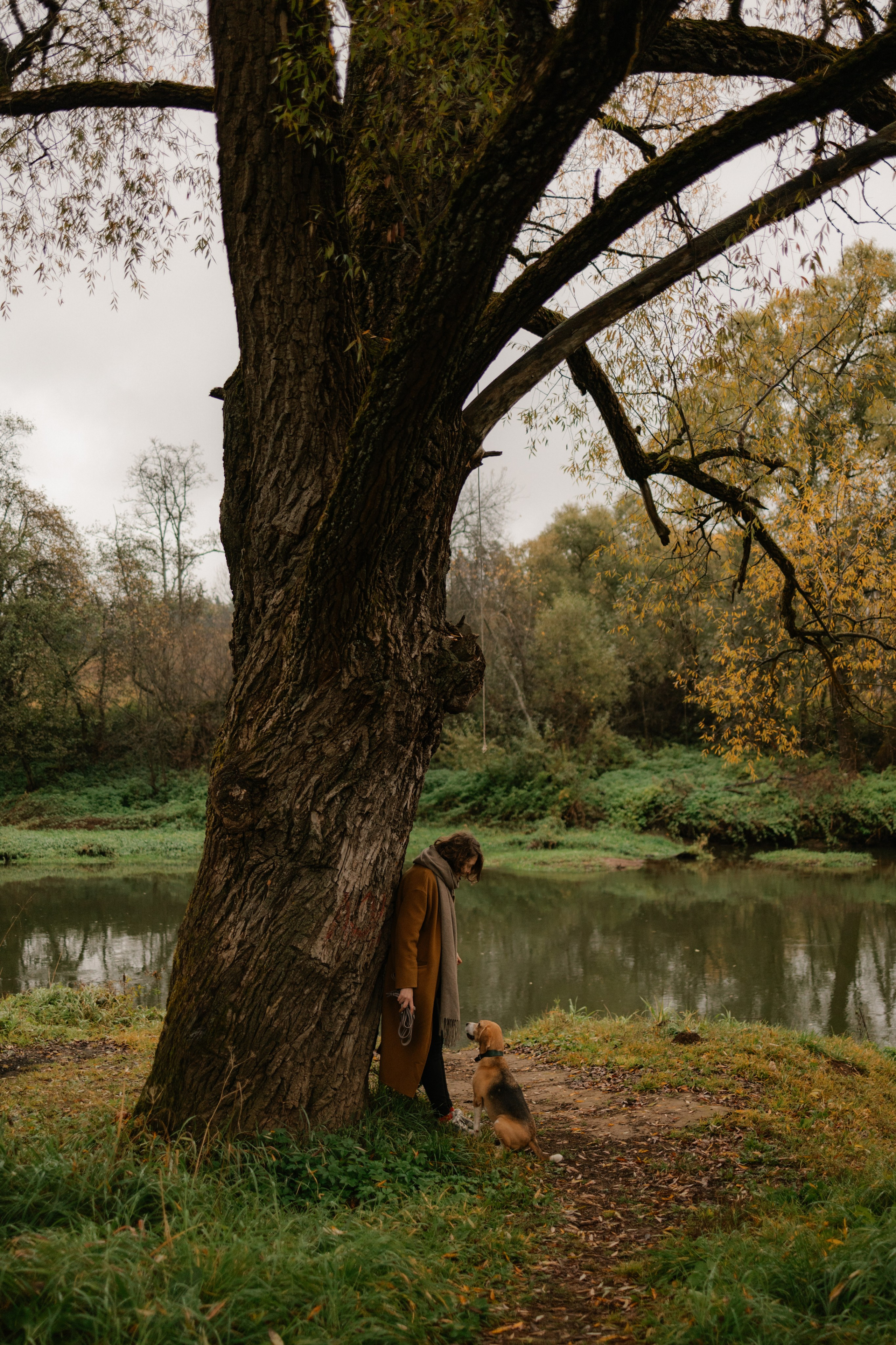 Лена и Тайгер. Фотограф — Анималист | Санкт-Петербург
