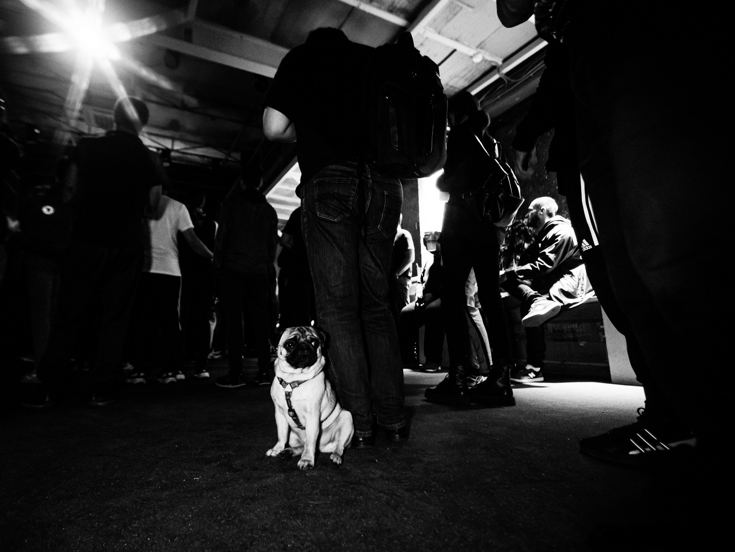 Роад трип TRNA СПБ-Москва 2021. Фотограф Мария Немм