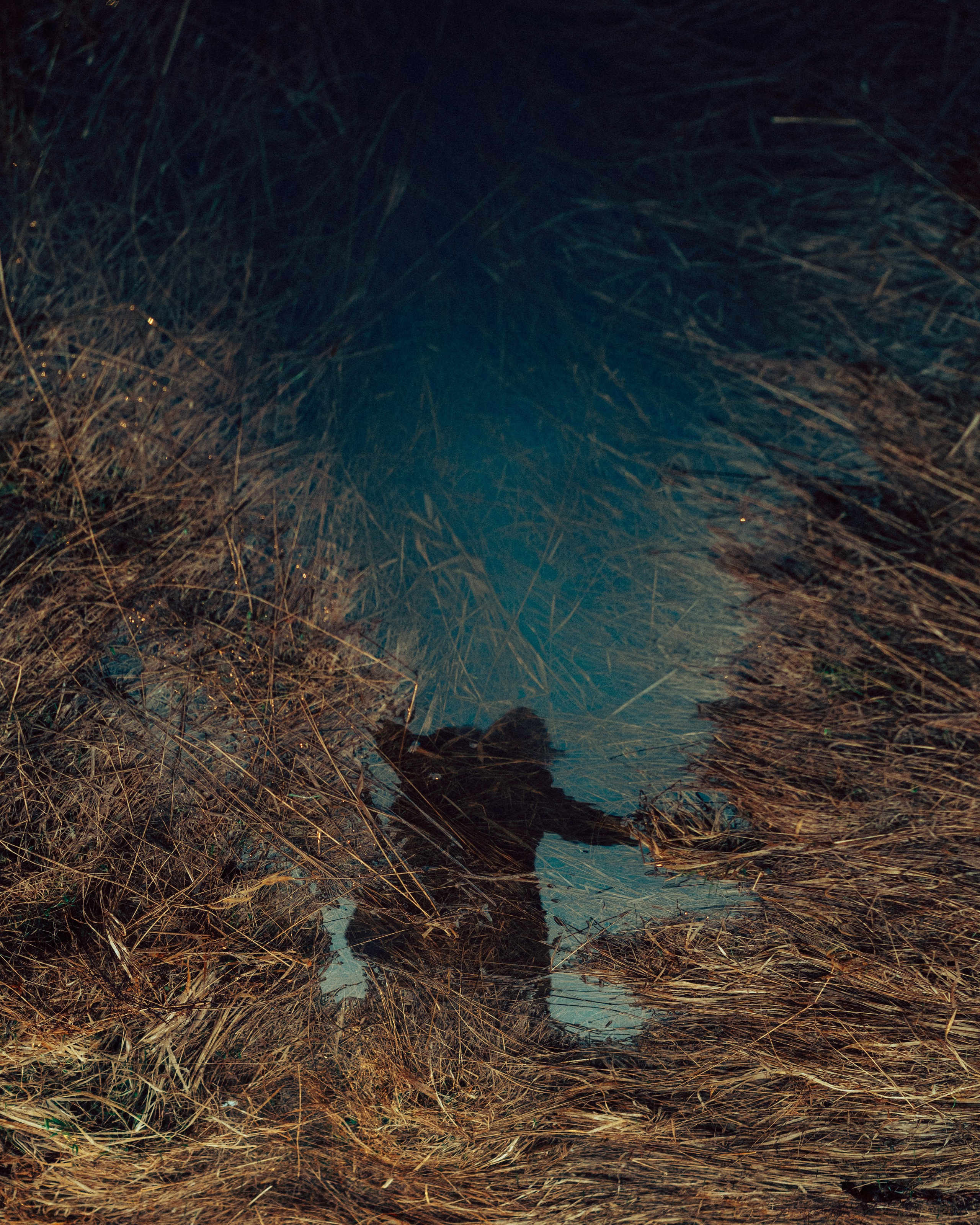 DOOR. Фотоведьма Дарья Нечинская