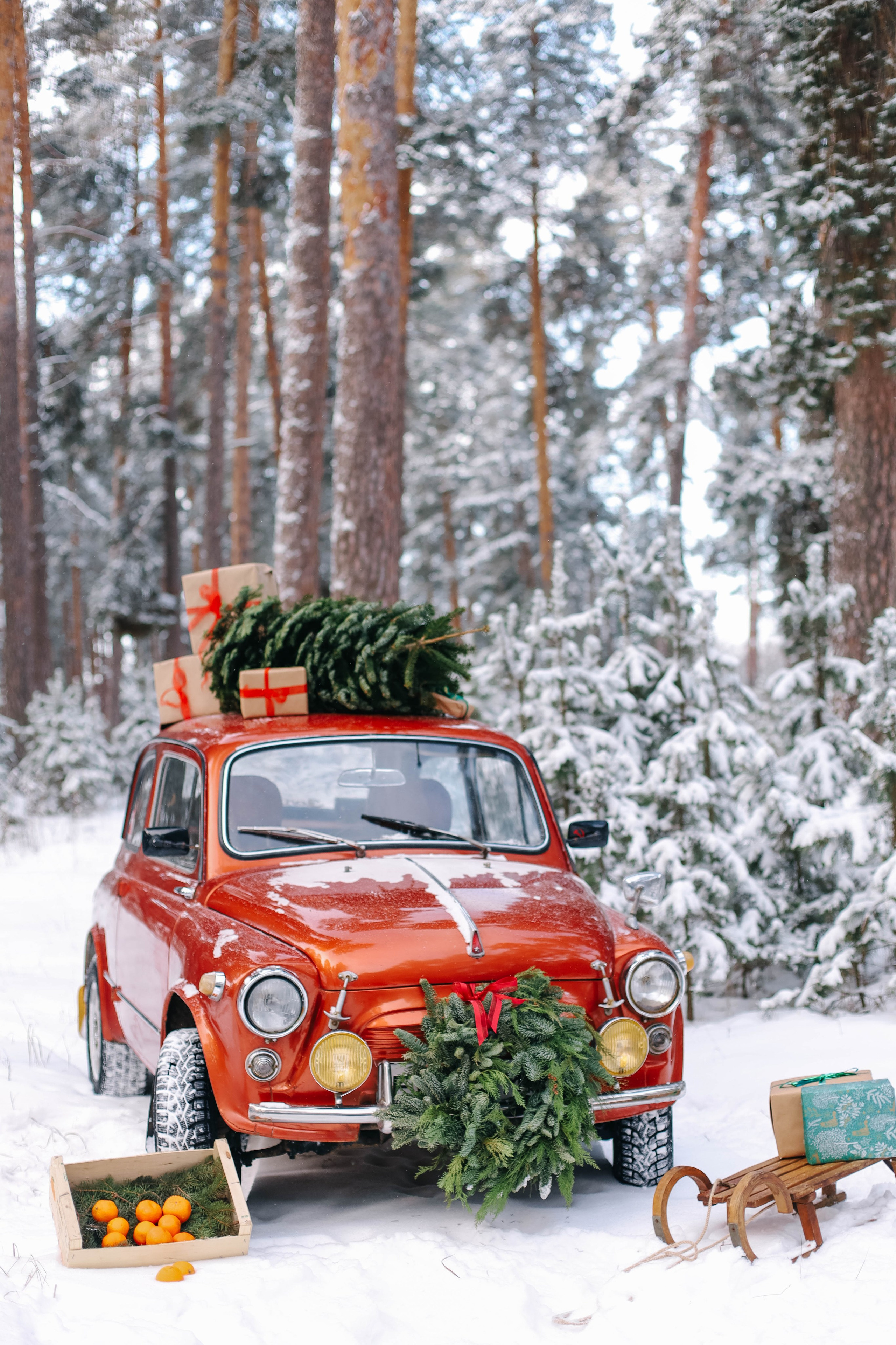 Оксана и Илья. Семейный и свадебный фотограф в Пензе Валерия Филюкова