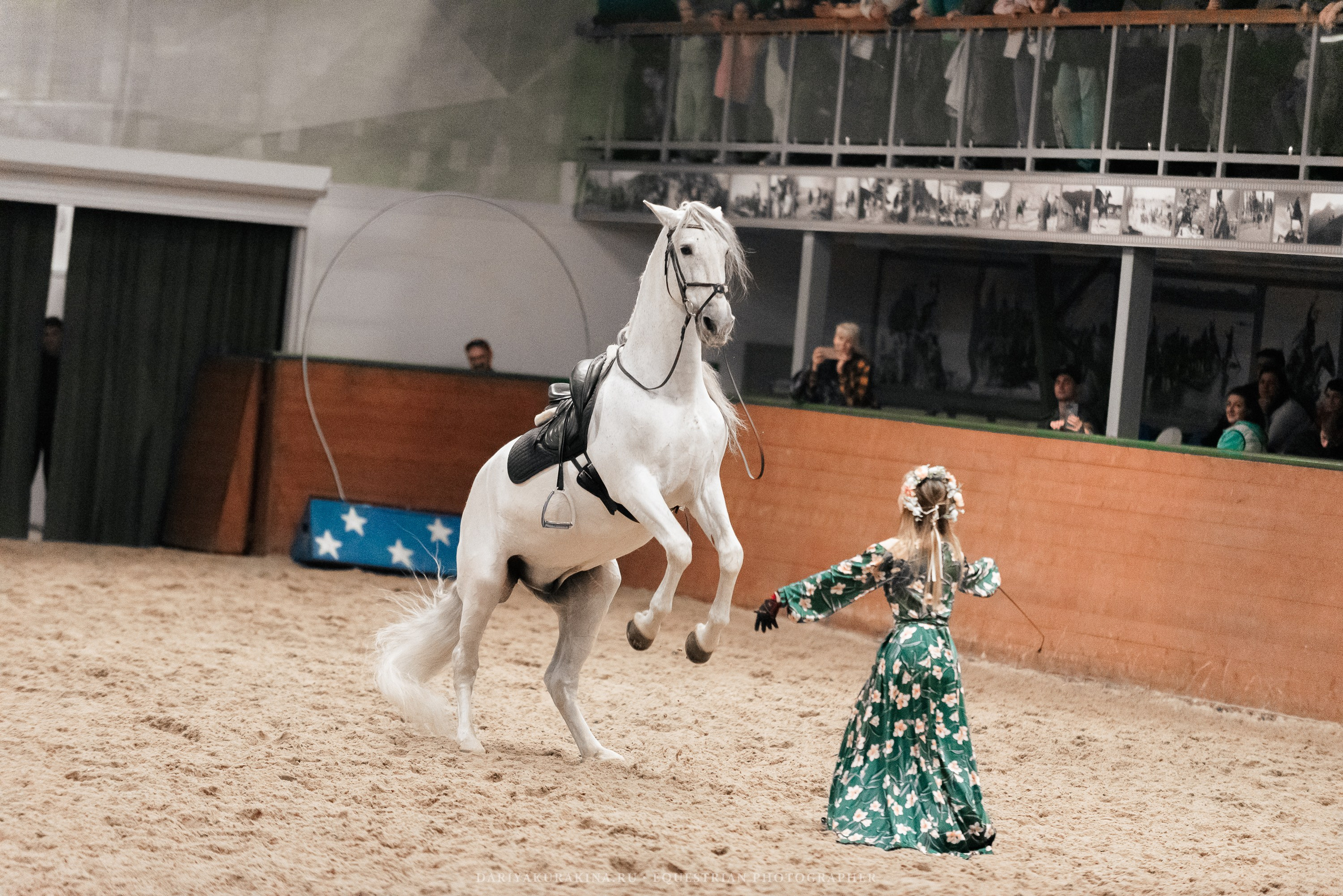 Конное представление «Дыхание Звёзд». Конный фотограф Куракина Дарья • Фотосессии с лошадьми