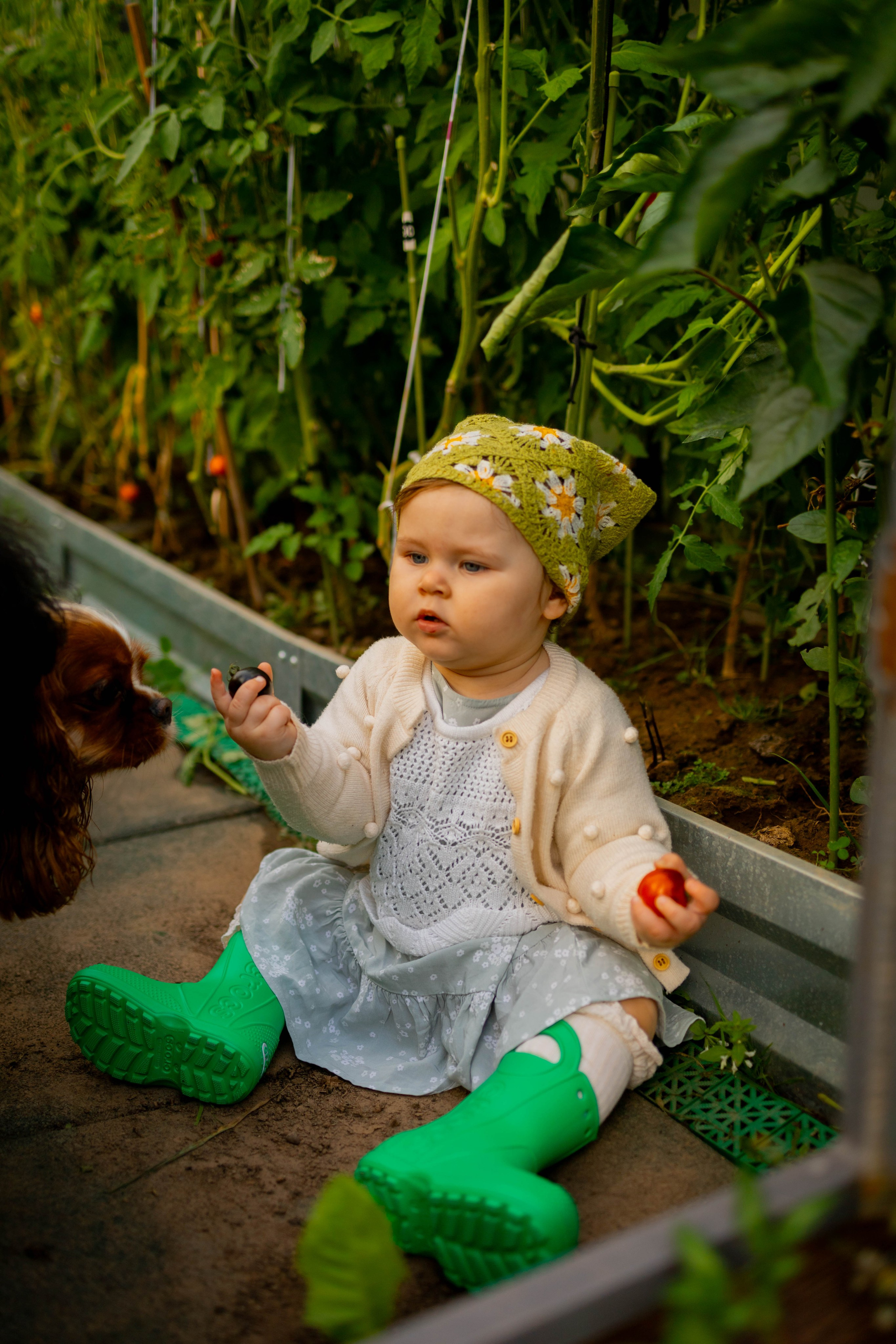 Дачная история. Динара Федорова семейный фотограф
