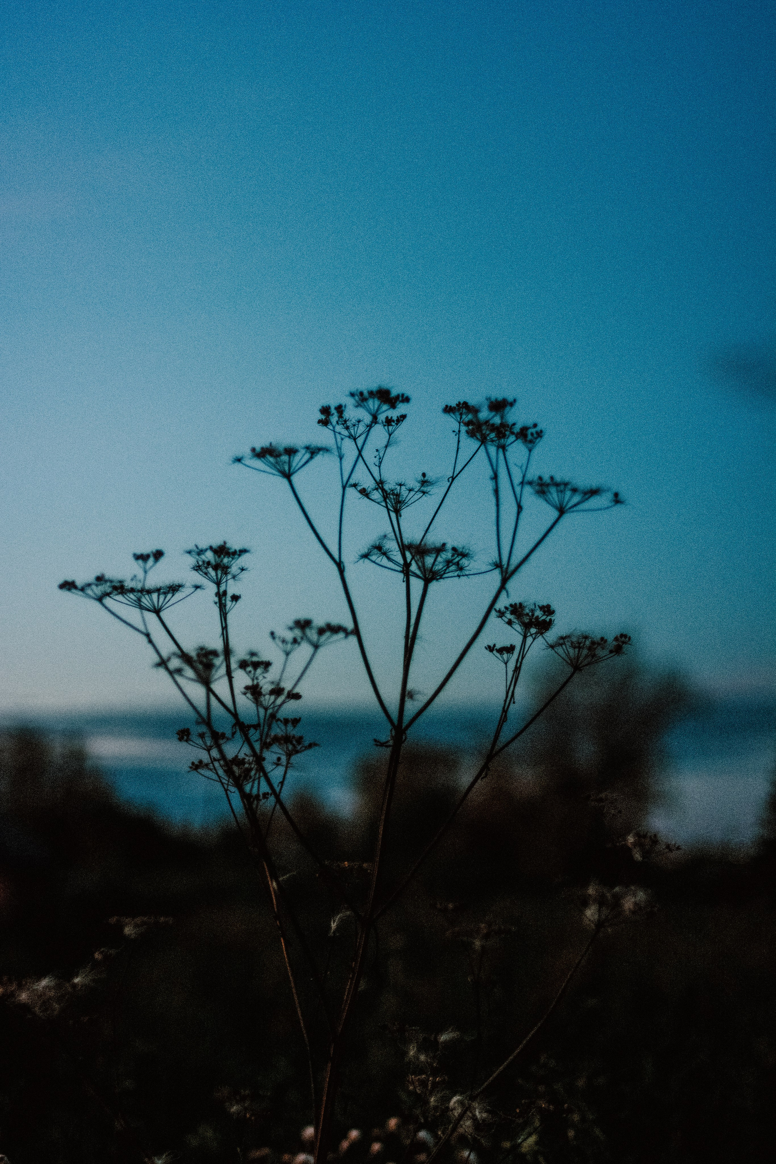 Портретный и репортажный фотограф г. Тюмень Ник Стенсил