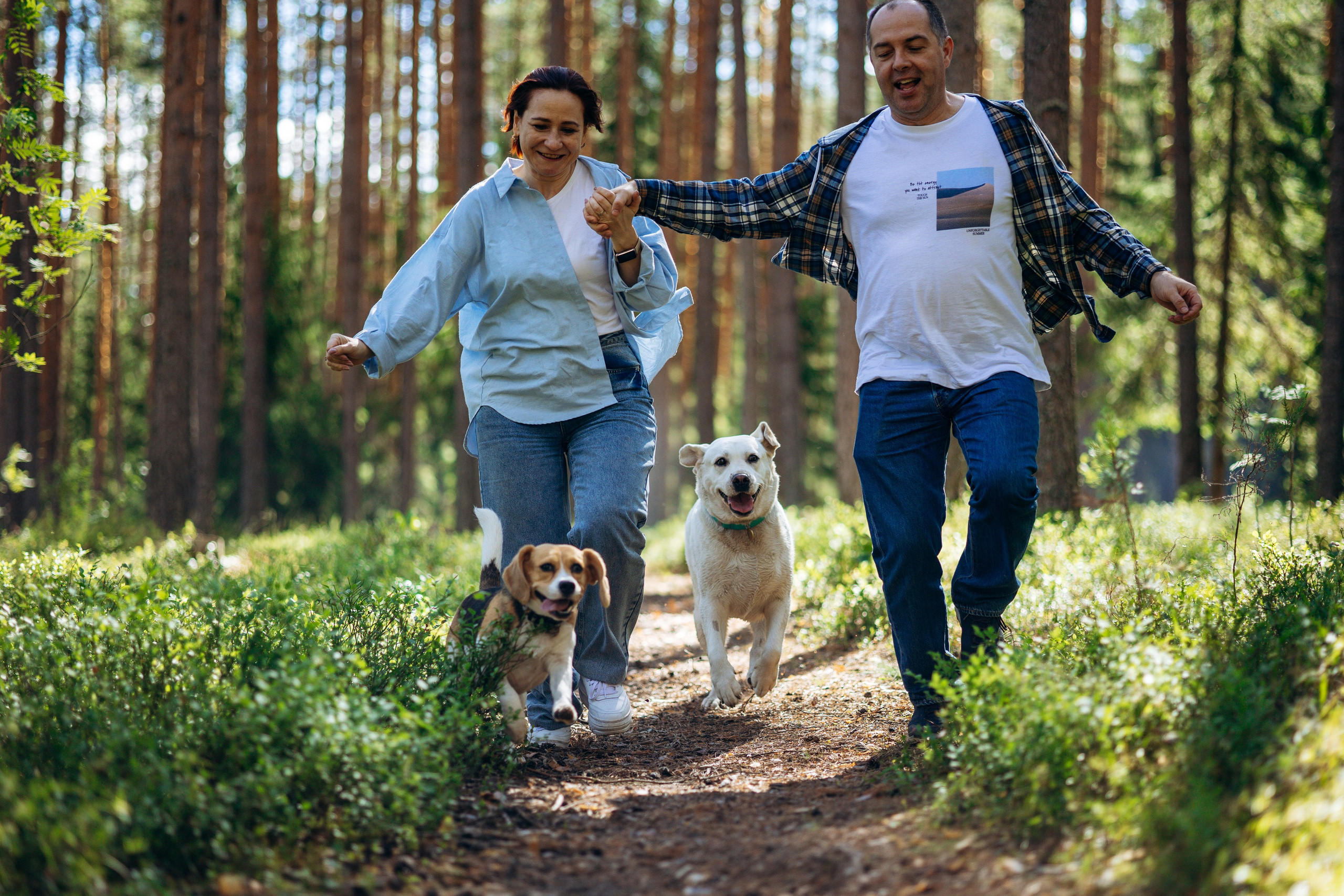 Котофеи и их семья. Фотограф — Анималист | Санкт-Петербург