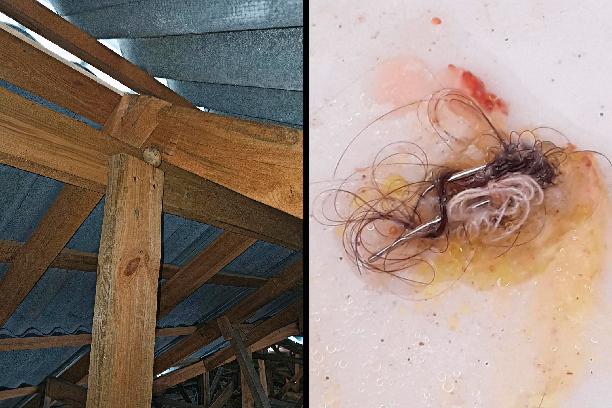 Изгоняющие джиннов. Журналист, фотограф и кинодокументалист Владимир Севриновский