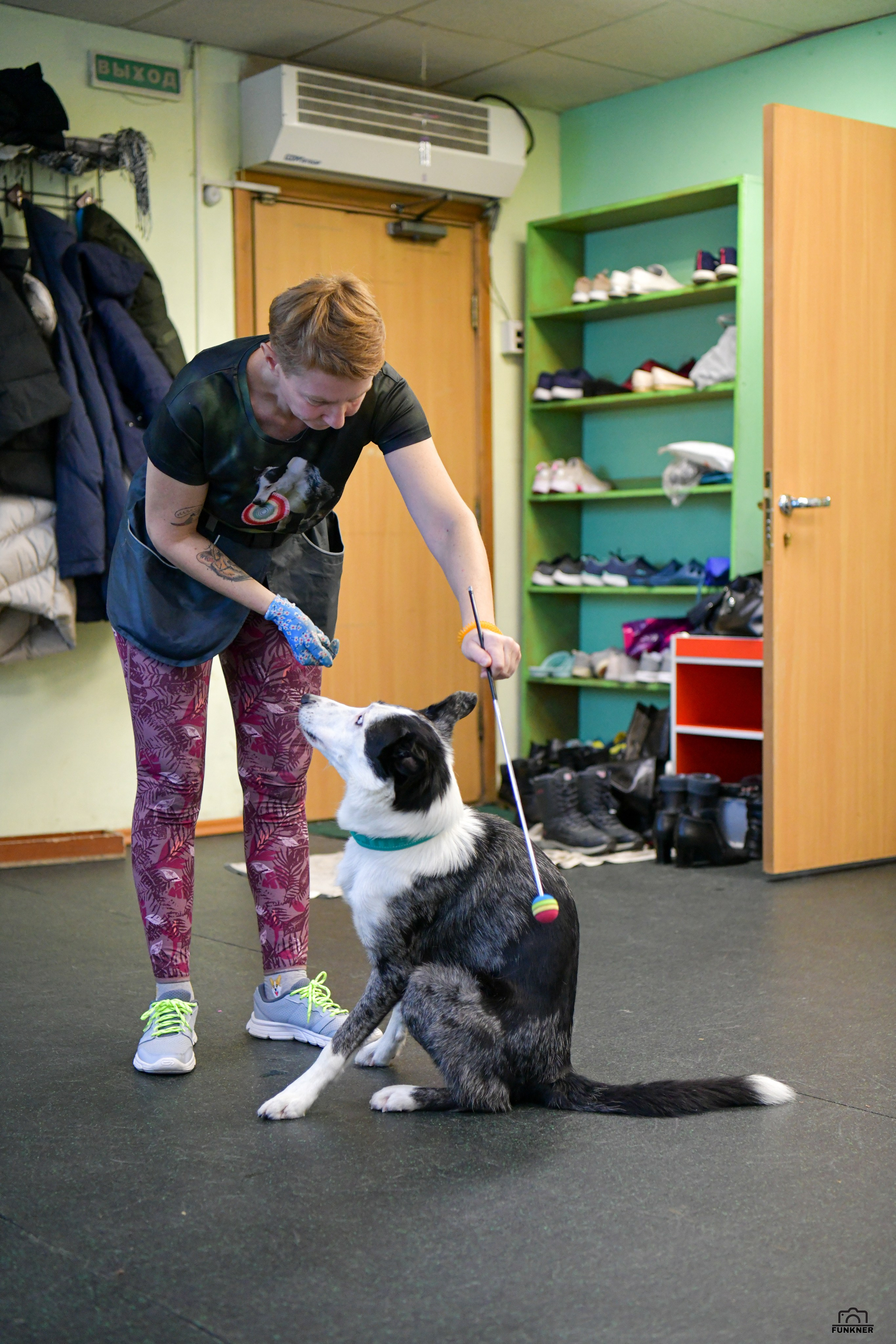 Кинологический клуб «Бодрый хвост». Свой взгляд через объектив