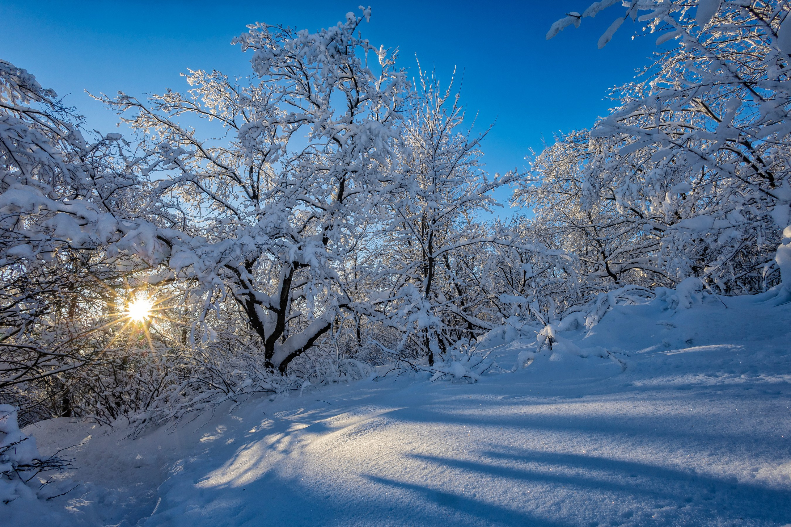 Природа. Макс По — фото и видео съемки любого формата