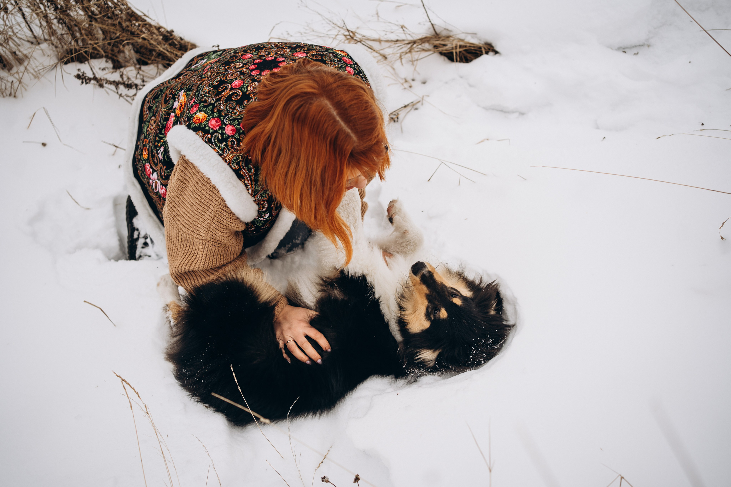 Альма. Фотограф-анималист Анастасия Большакова