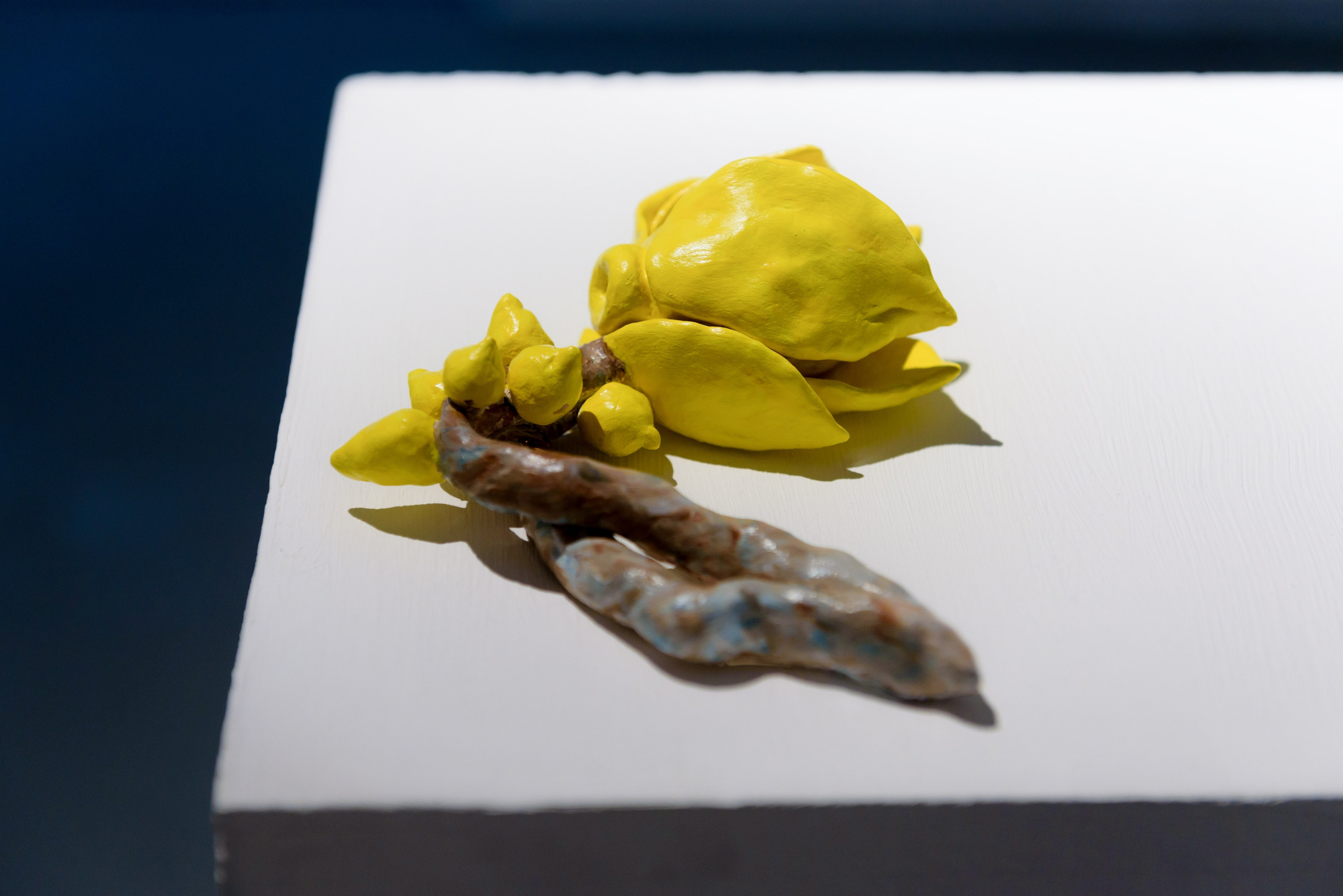 Выставки. Фотограф Руслан Хафизов