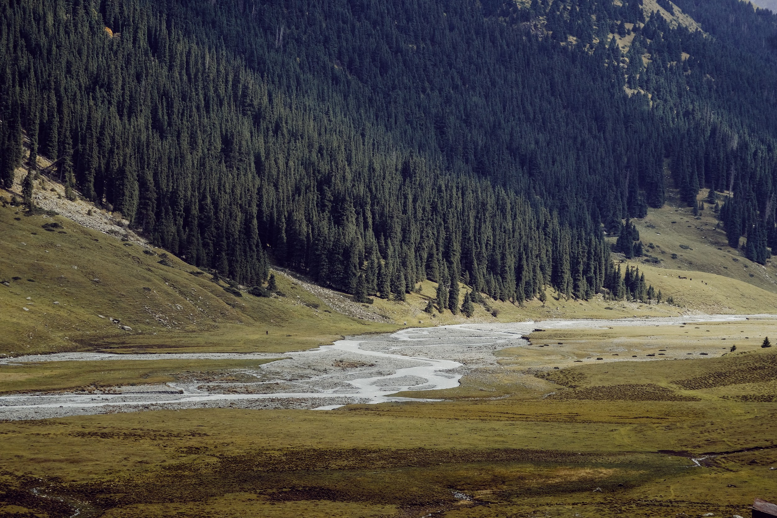 Кыргызстан. Фотограф Дмитрий Олрайт | Калуга, Россия