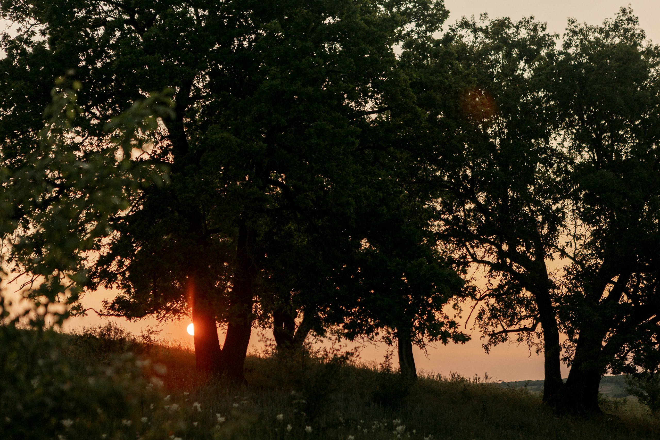 Генрих и Юлия (В данной серии сокращенный, полый день). Фотограф в Саратове Сабина Иманова