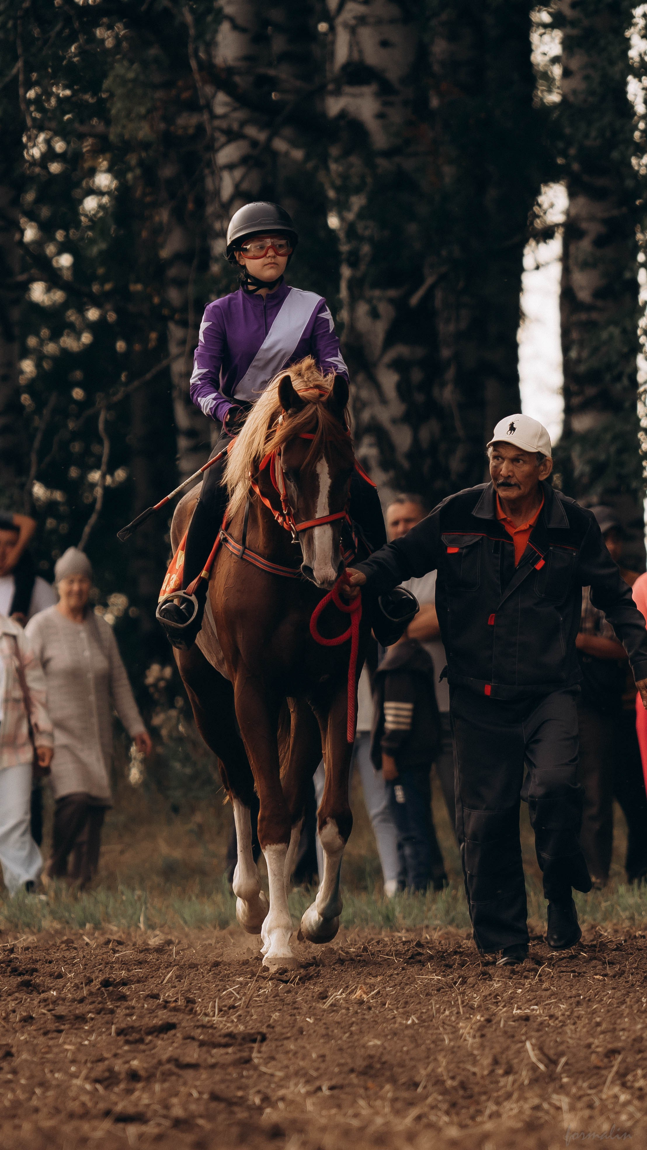 День Коня. Алиса Никитцова | Фотограф в Казани