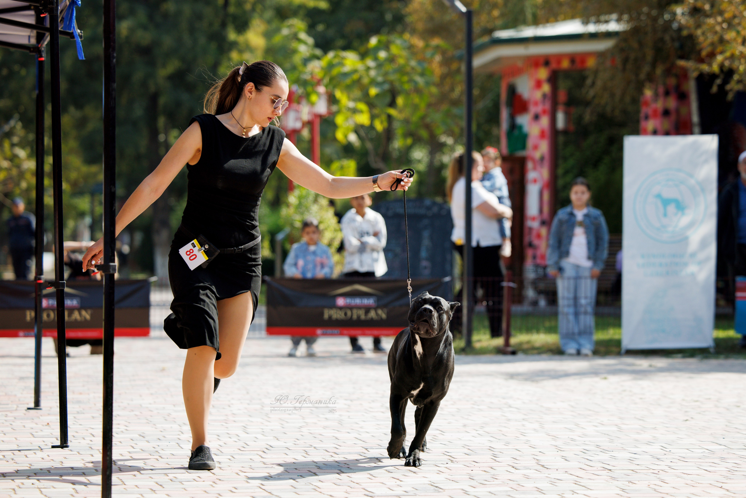 Ташкент 3хCACIB 3-5.10.2025. Фотограф-анималист Юлия Германика