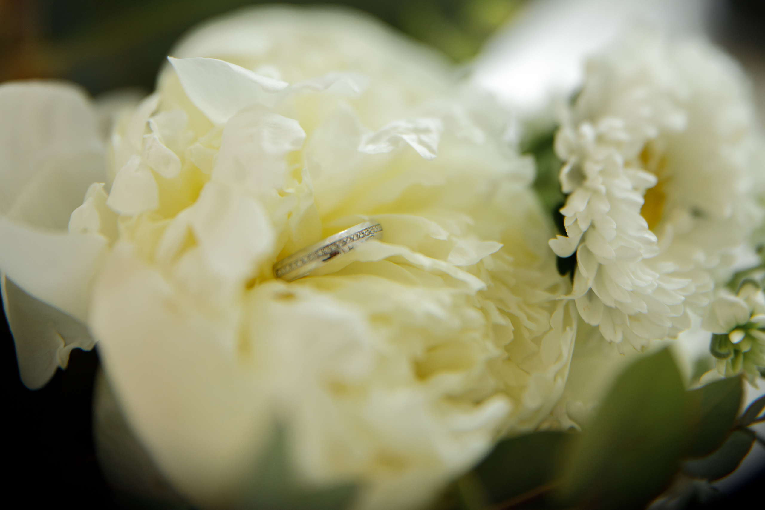 Андрей и Светлана. Светлана Иванова - профессиональный фотограф