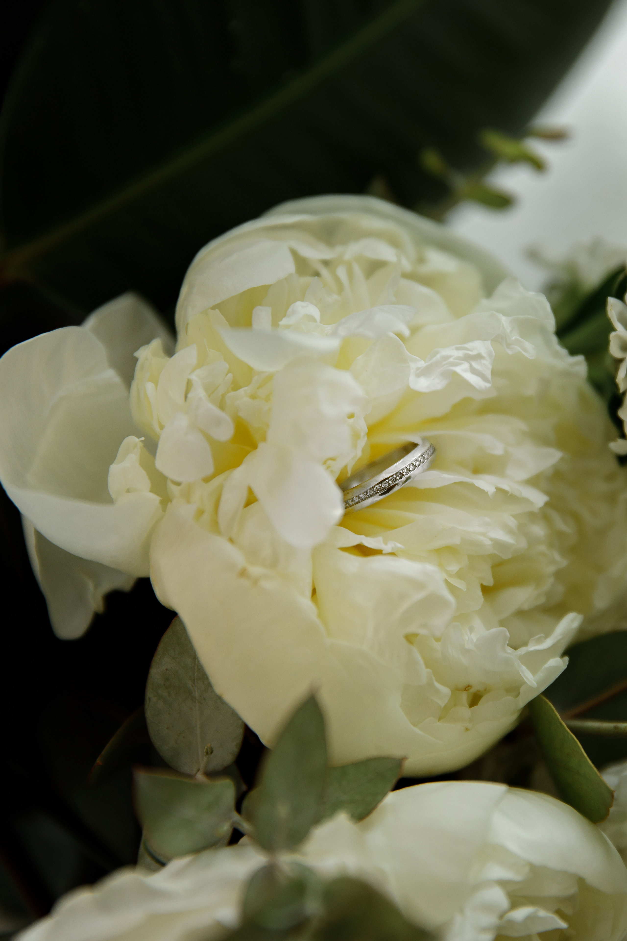 Андрей и Светлана. Светлана Иванова - профессиональный фотограф