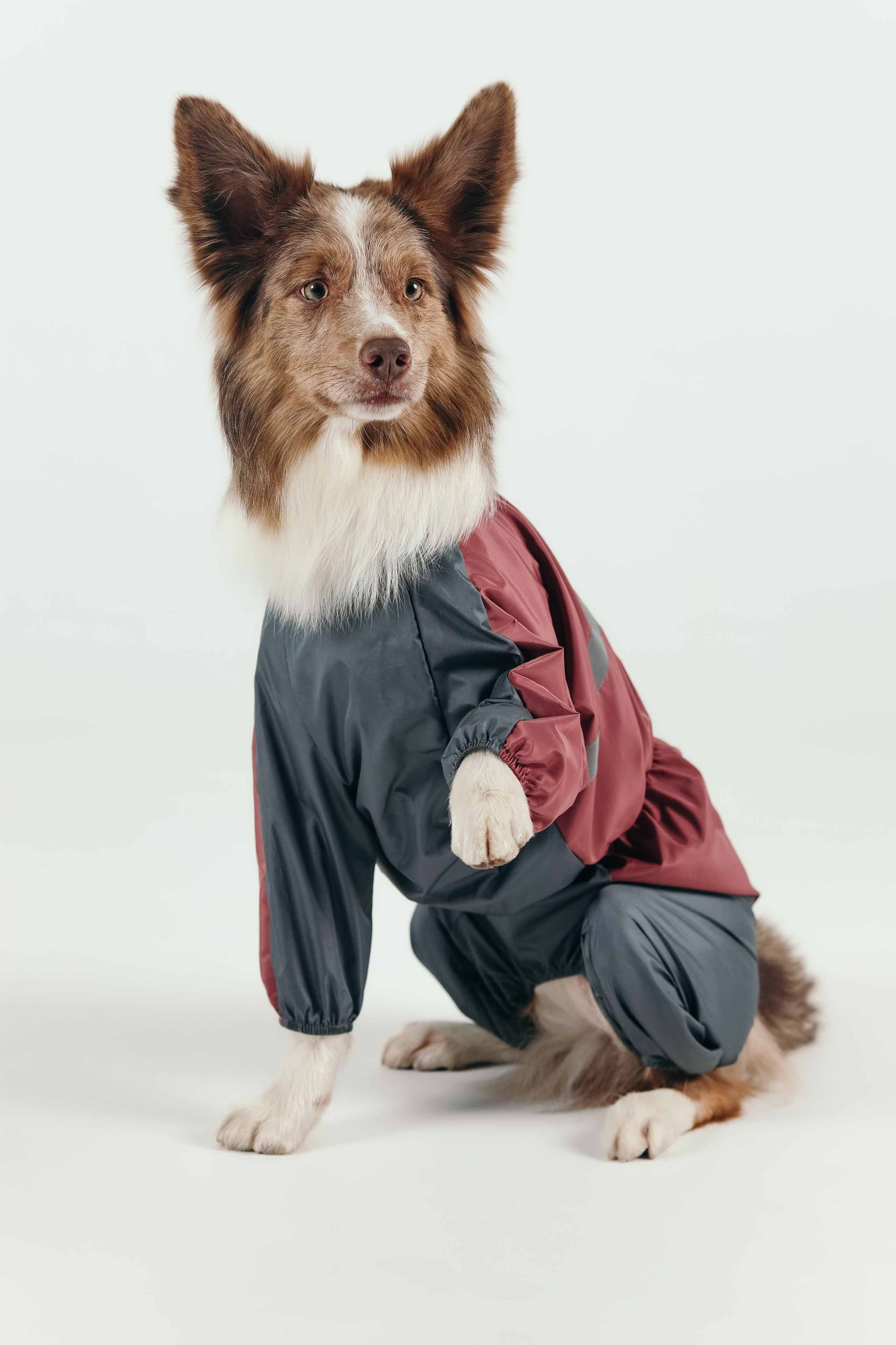 Для брендов. Фотограф- анималист Санкт-Петербург