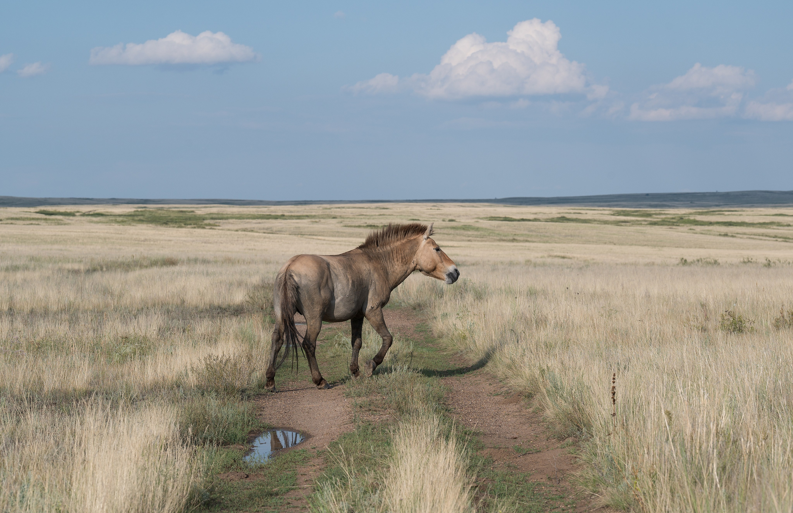 Оренбуржье. Портретный фотограф в Челябинске Катерина Руди