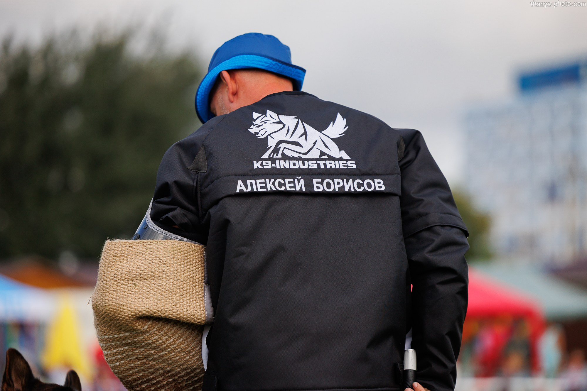 Фотографии с монопородных выставок немецких овчарок. Фотограф собак, фотограф-анималист Аня Титова (Titanya). Москва