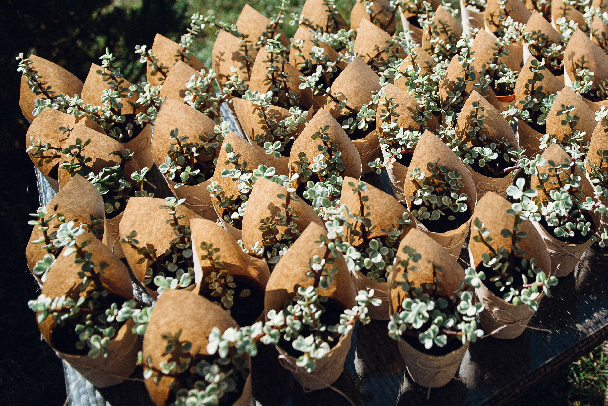 Илья и Элина. Фотограф Москва | Кирилл Неплюев