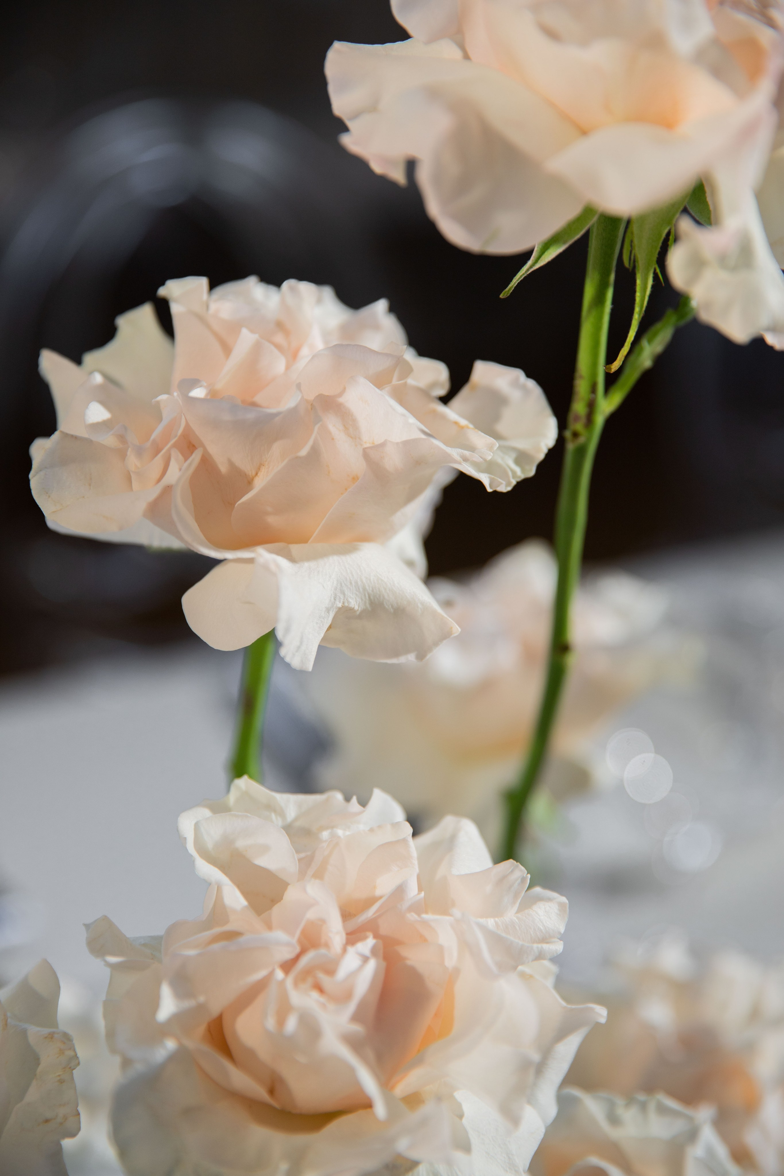 Путилов. Свадебный фотограф Анастасия Казакова