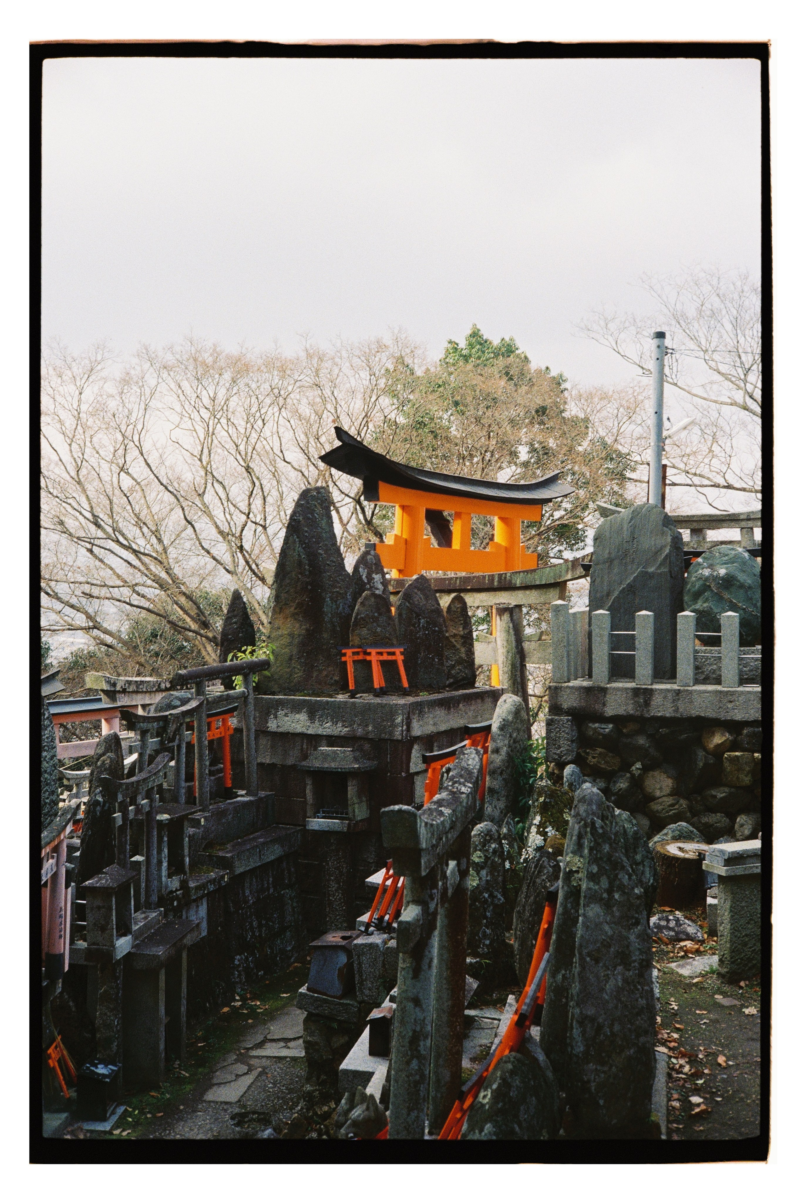 Japan. @tomrus: Рустам Шагиморданов — фотограф