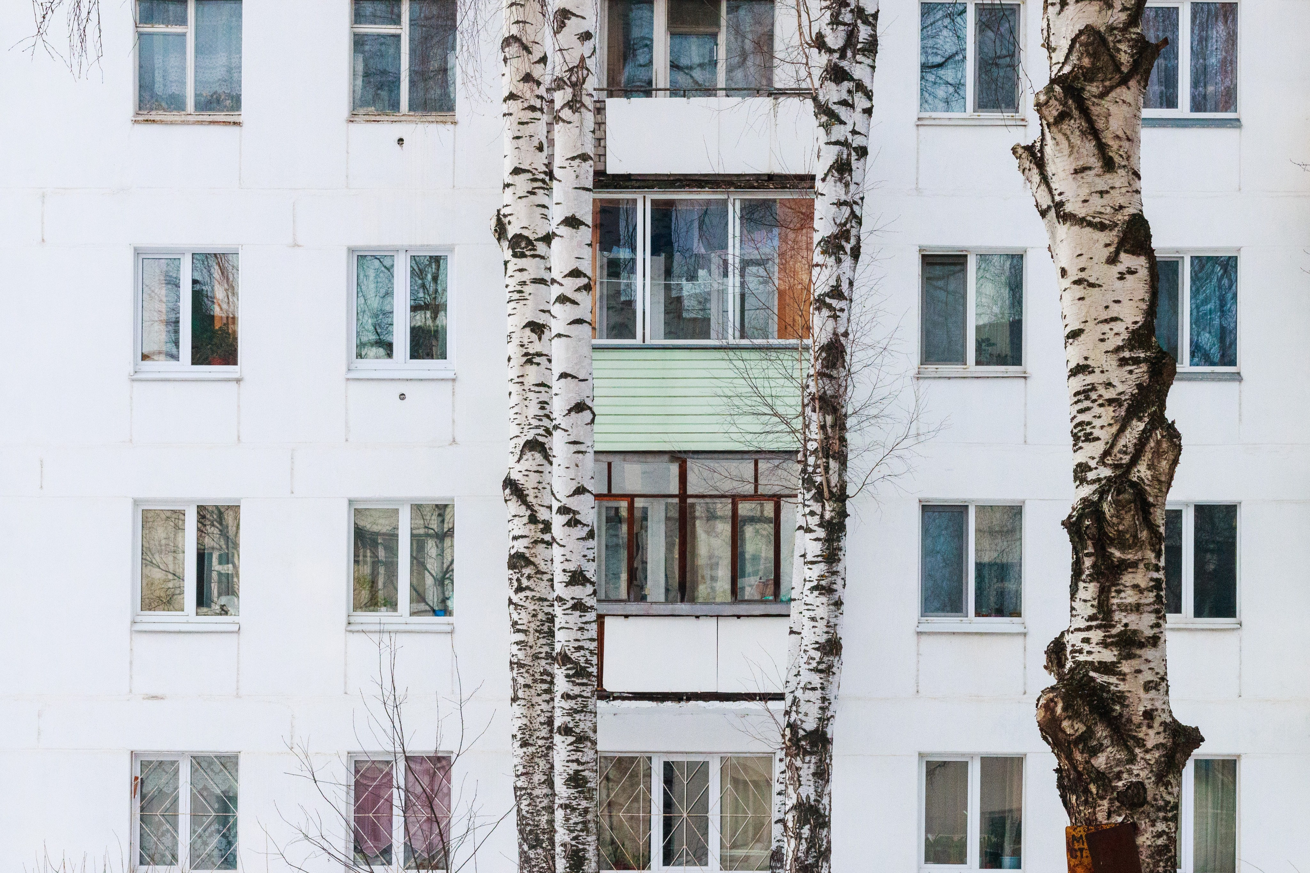 Родные узоры. Россия. Олег Романов. Мастер фото по спорту