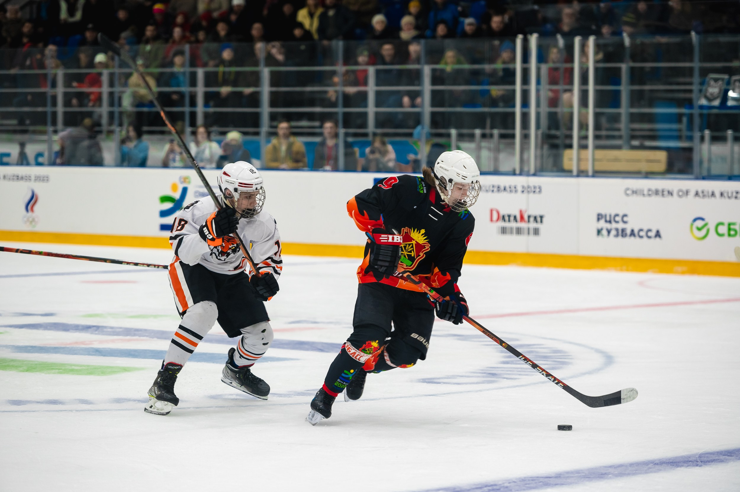 Кузбасс-ДФО. ProfotoNK