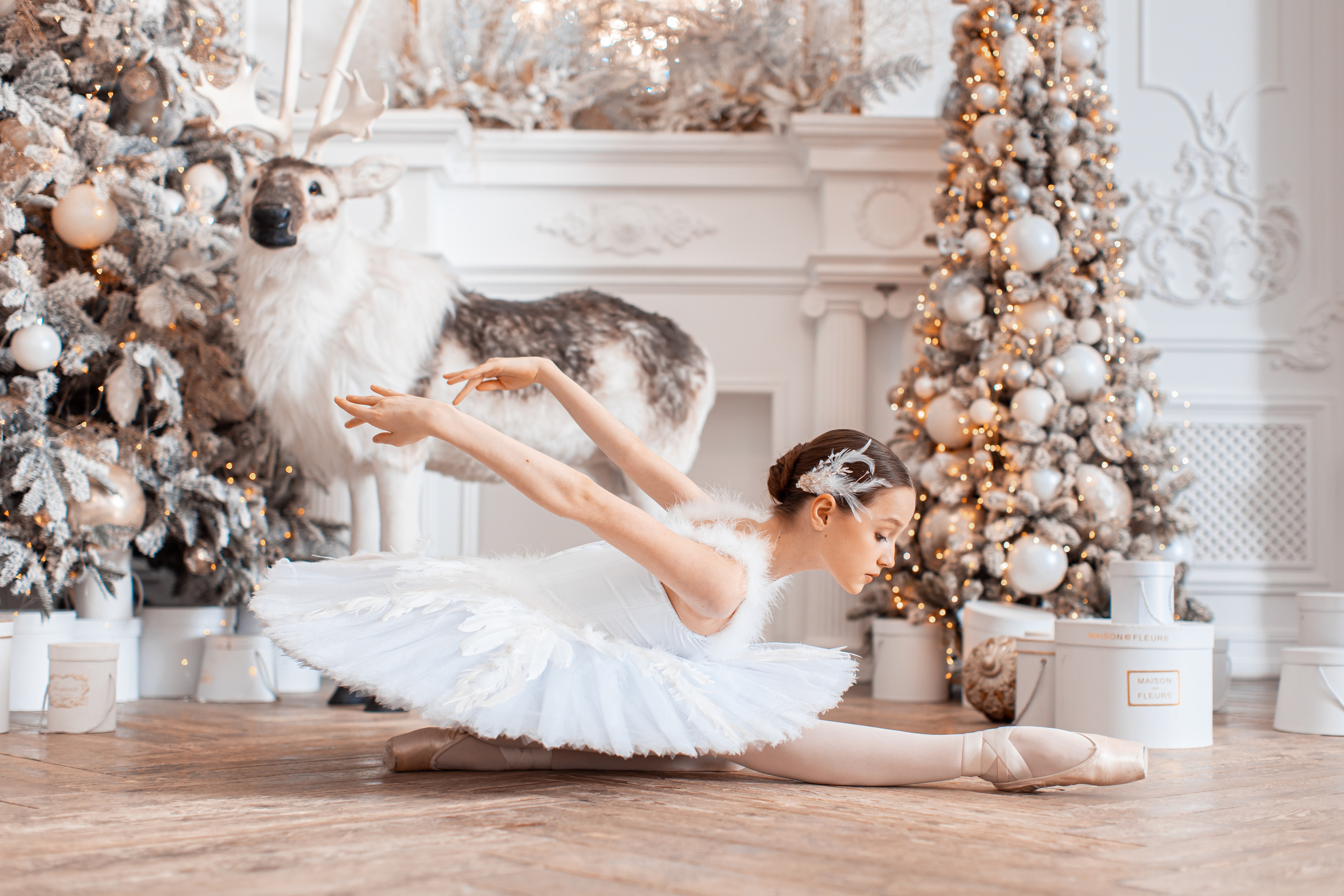 Балетная съёмка в интерьере. Балетный фотограф Алина Ханько — Душа Балета