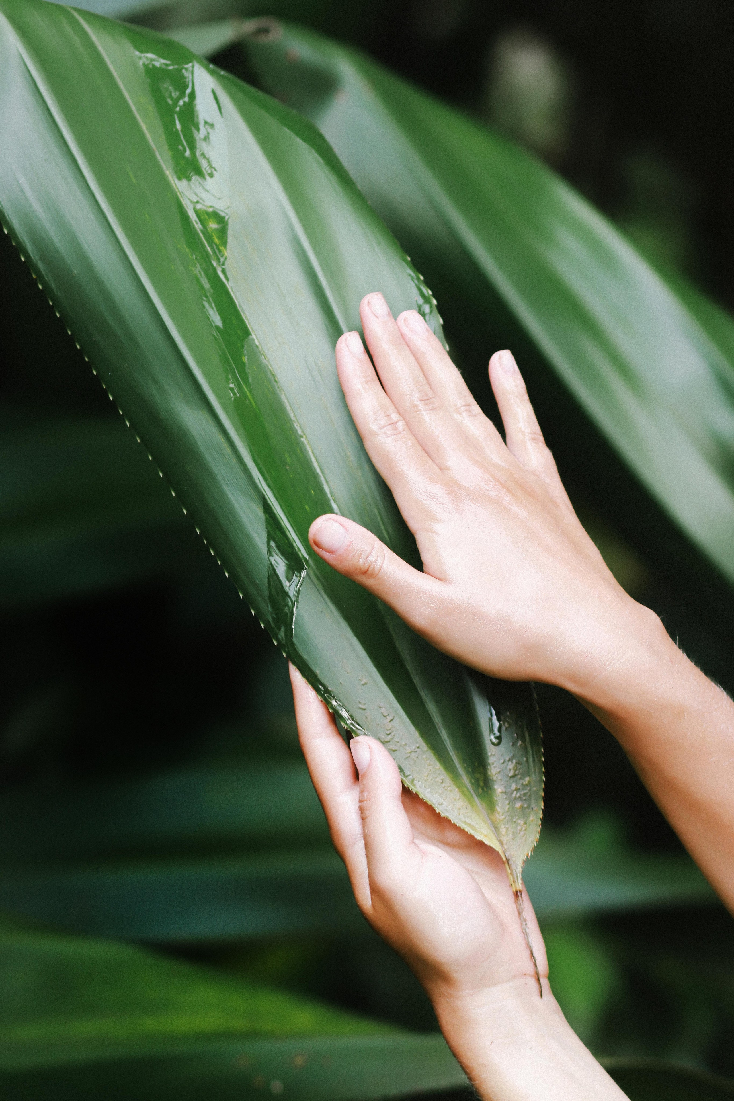 Массажист Дарина. Фотограф на Шри-Ланке