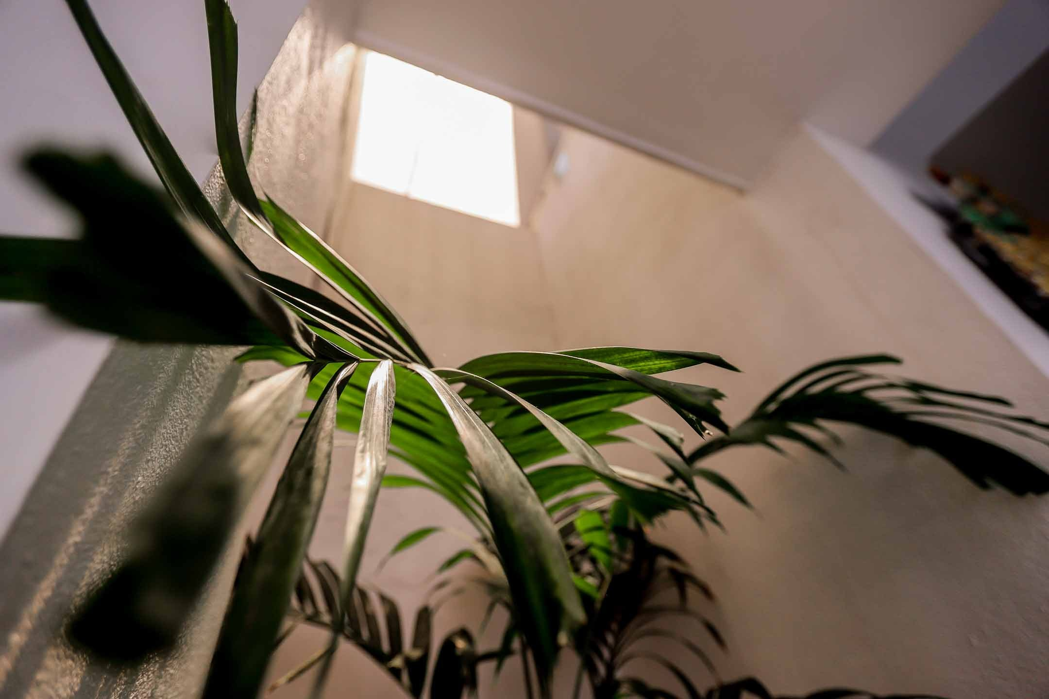 Отель пляж Хабарадува. Фотограф на Шри-Ланке