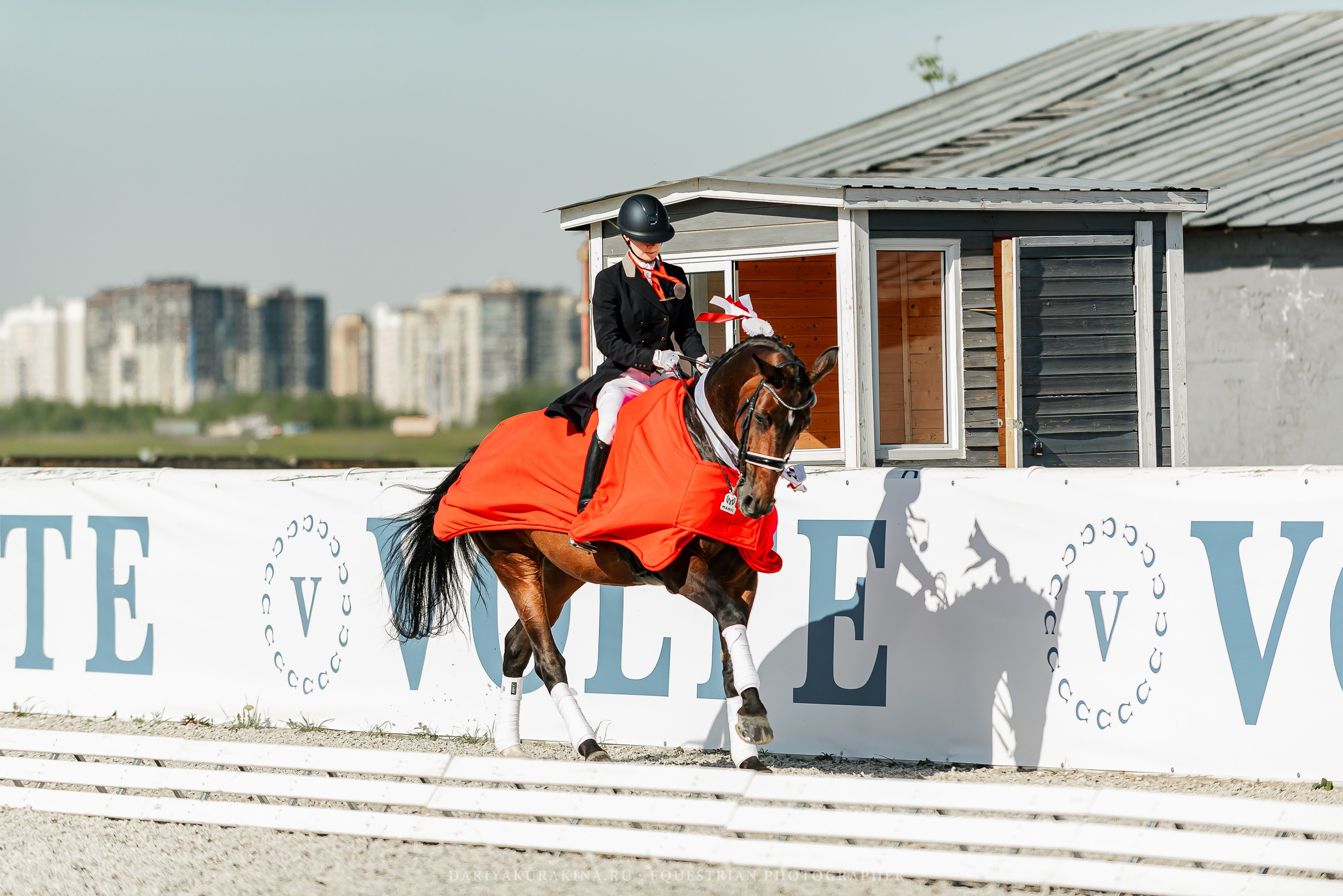 РЕПОРТАЖ МКК ВОЛЬТ «LA TULIPS». Конный фотограф Куракина Дарья • Фотосессии с лошадьми
