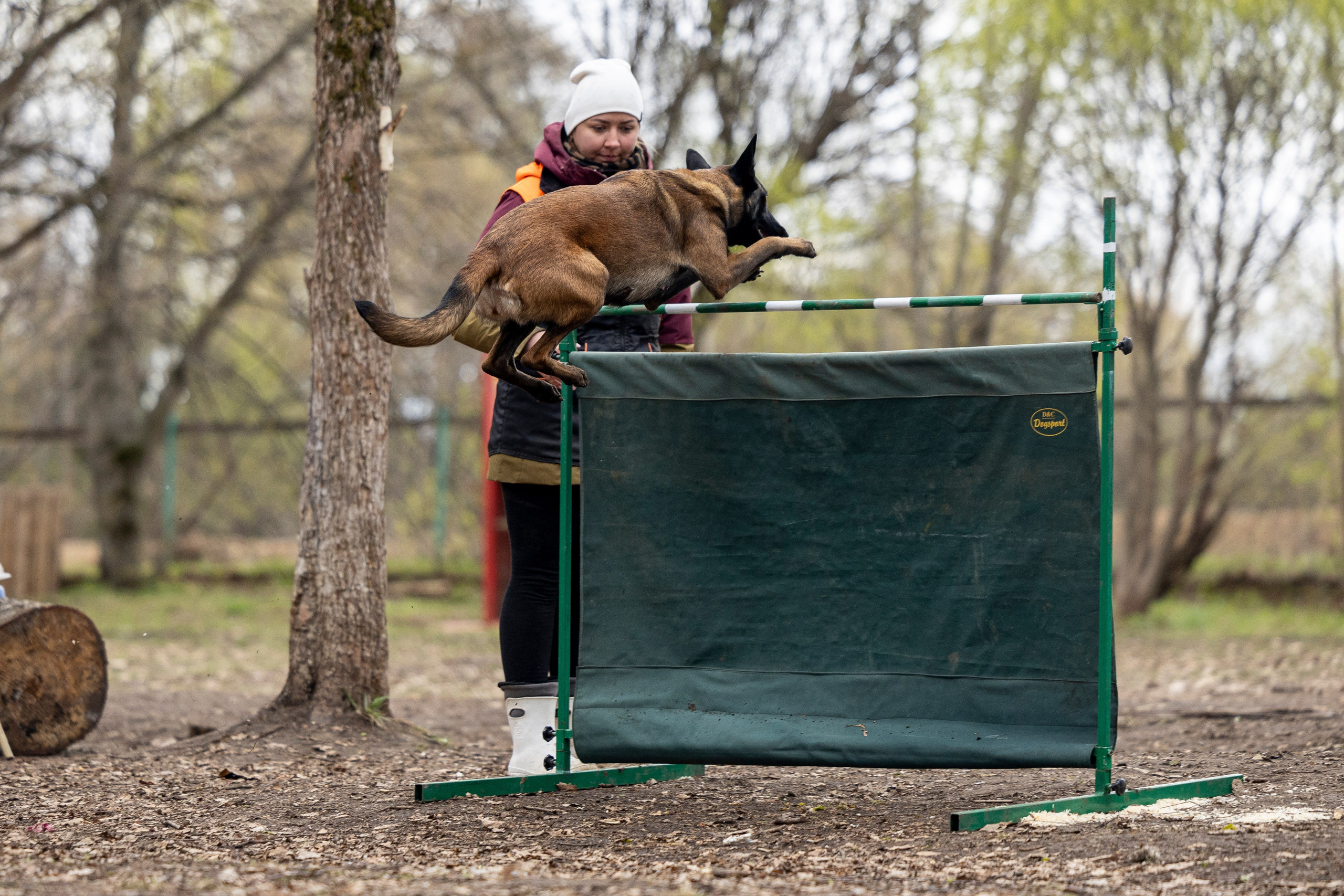 Квалификационные состязания по мондьорингу г. Вологда 11.05.24. Фотограф-анималист Анна Маринич