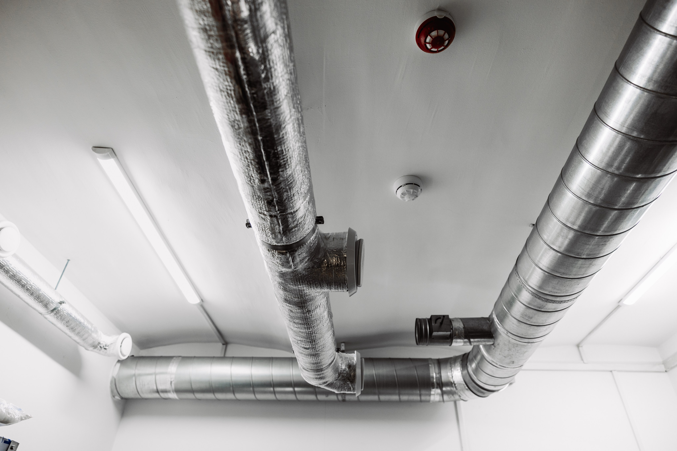 ЧЕБ И РЕК | Коломна, Зайцева 13. ФОТОГРАФ ИРИНА ШАМАТАВА