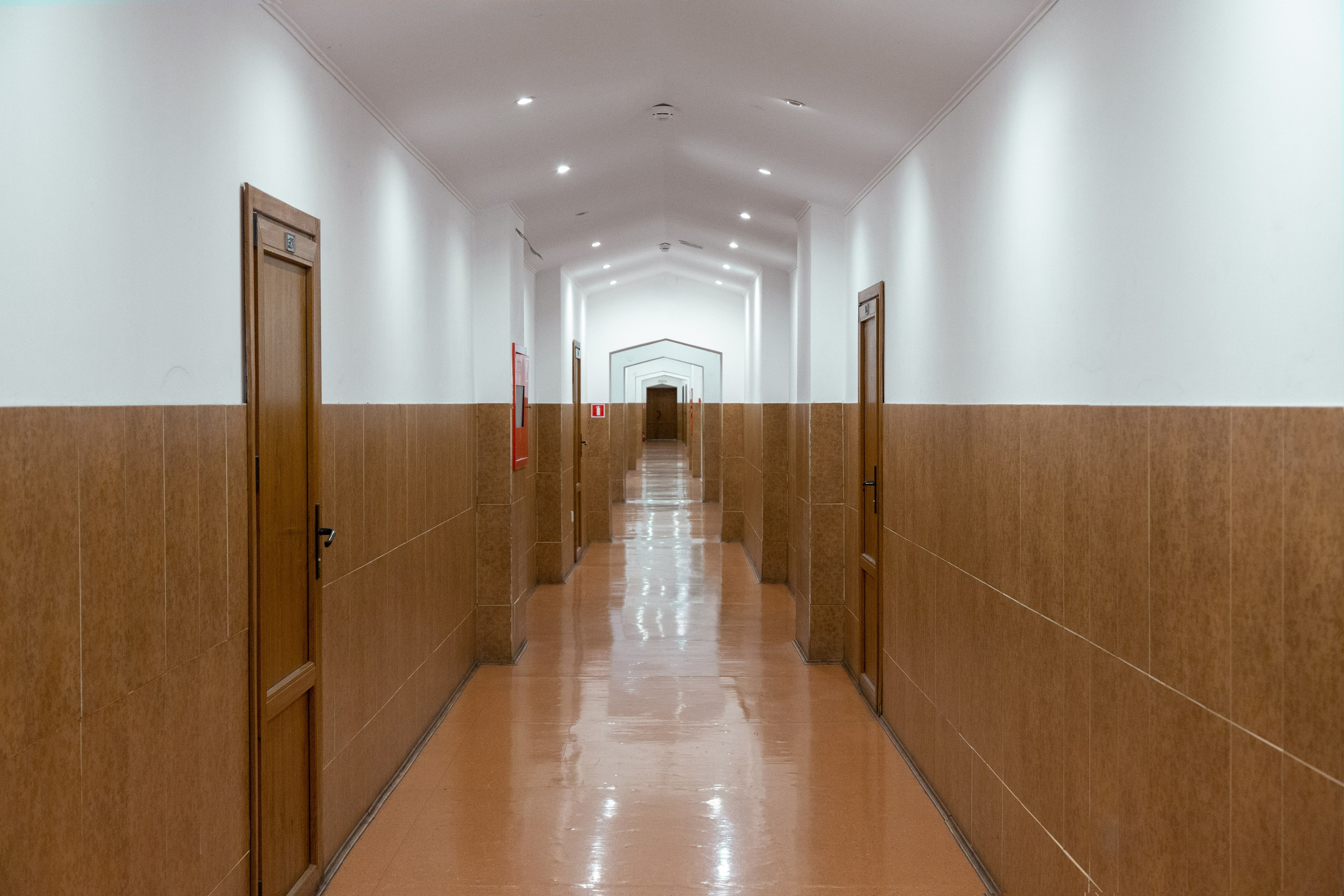 Училище имени Глинки урок по экологии. Семейный и детский фотограф в Санкт-Петербурге Пуликов Дмитрий