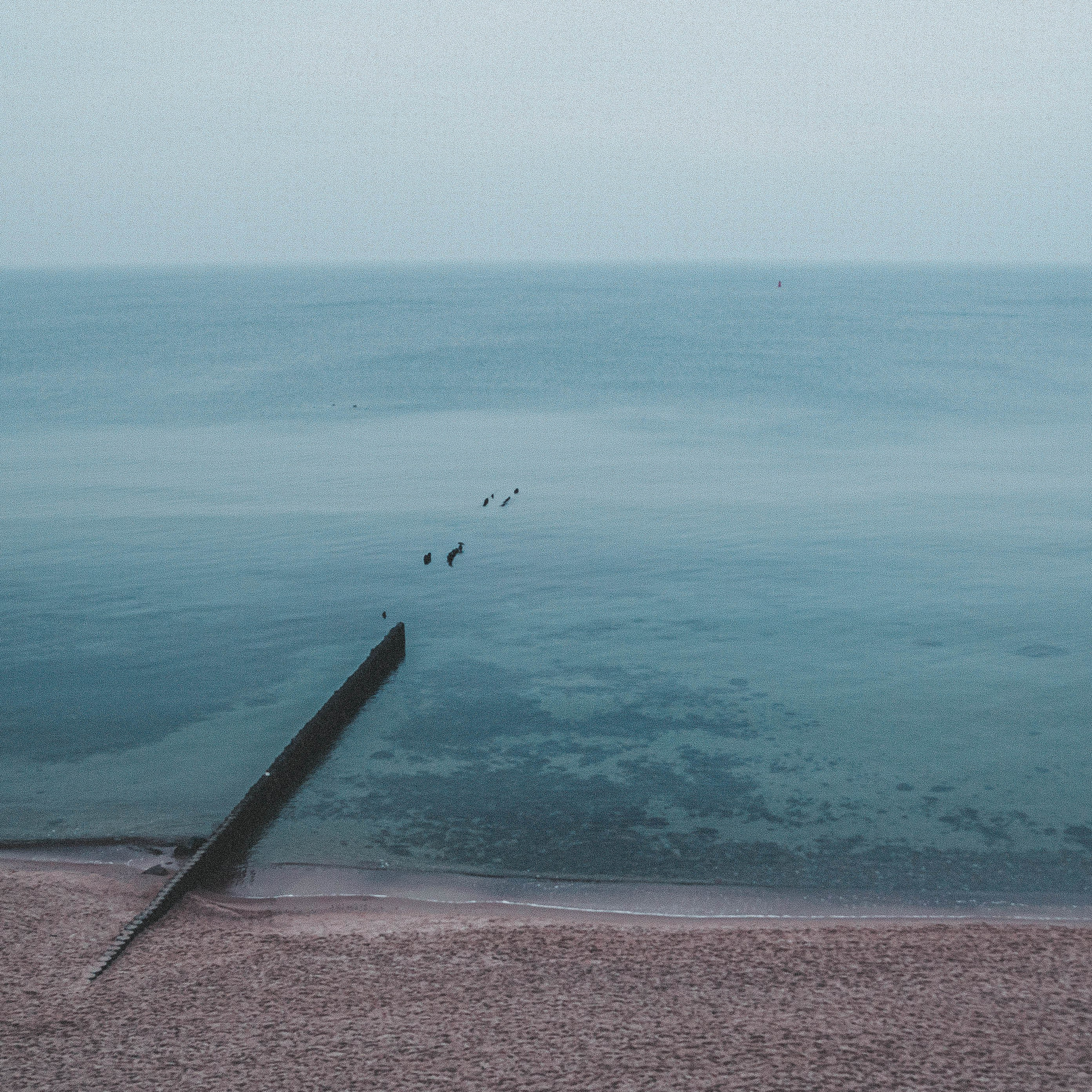 Калининград, декабрь 2025. Фотограф в Ярославле Ольга Пыненкова