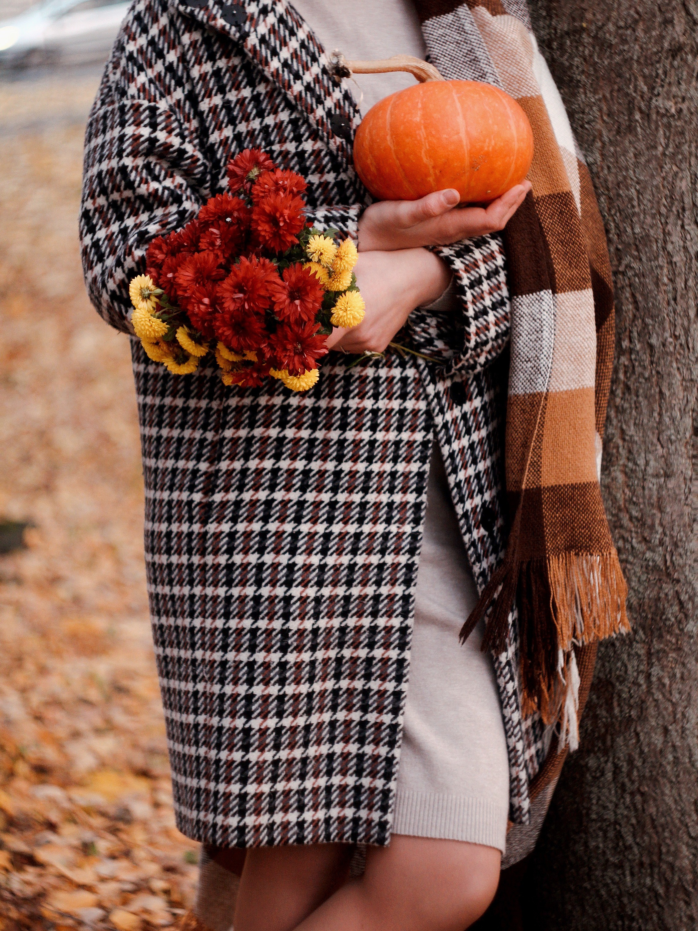 Осень и тыквы. Photography Eva