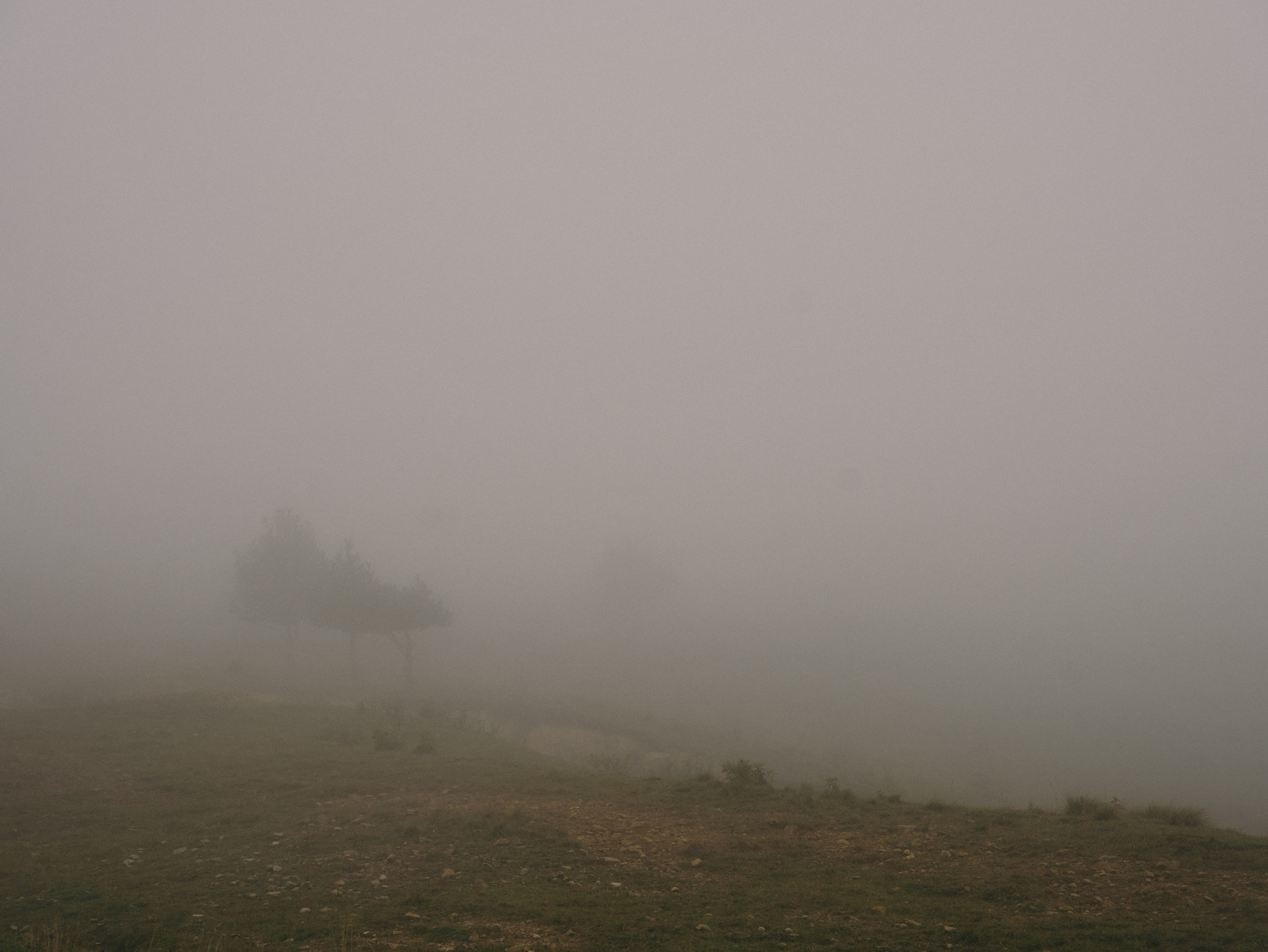 Пикник в горах. Свадебный фотограф Ирина Беляева Пятигорск|Кисловодск|Эльбрус|Домбай