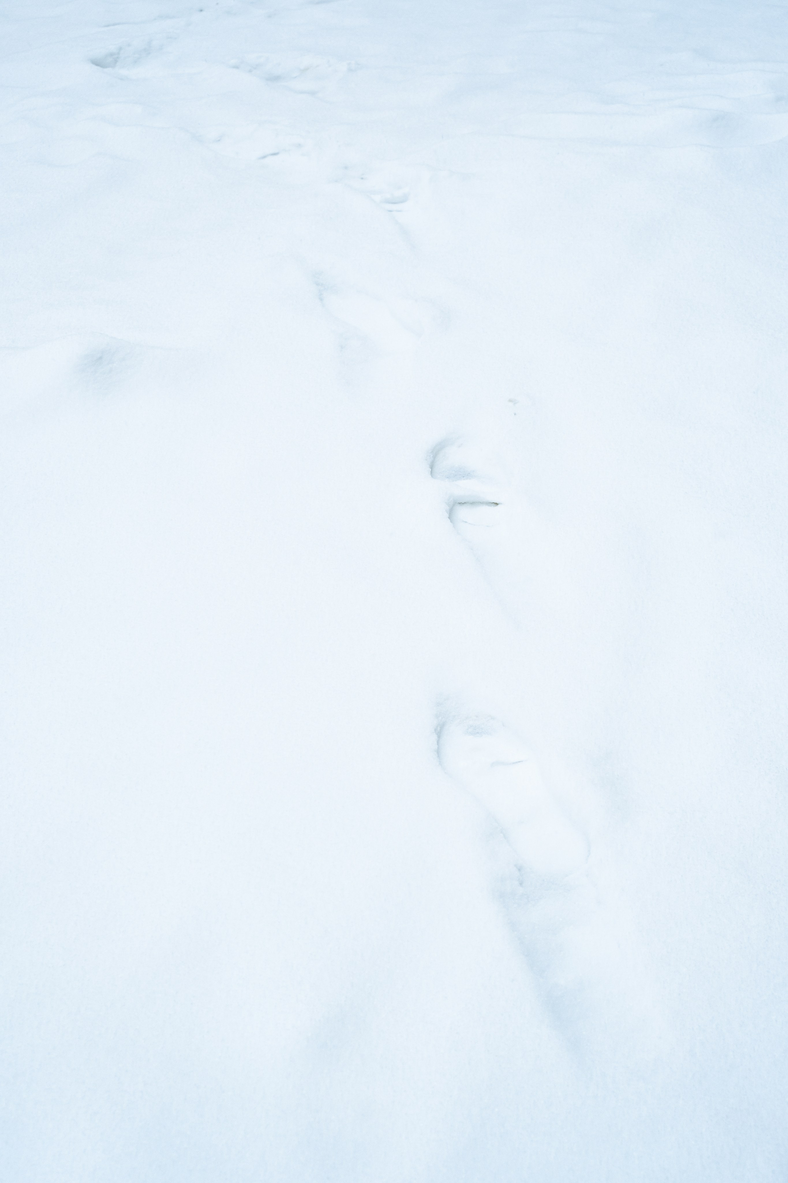 Street: снежная Москва