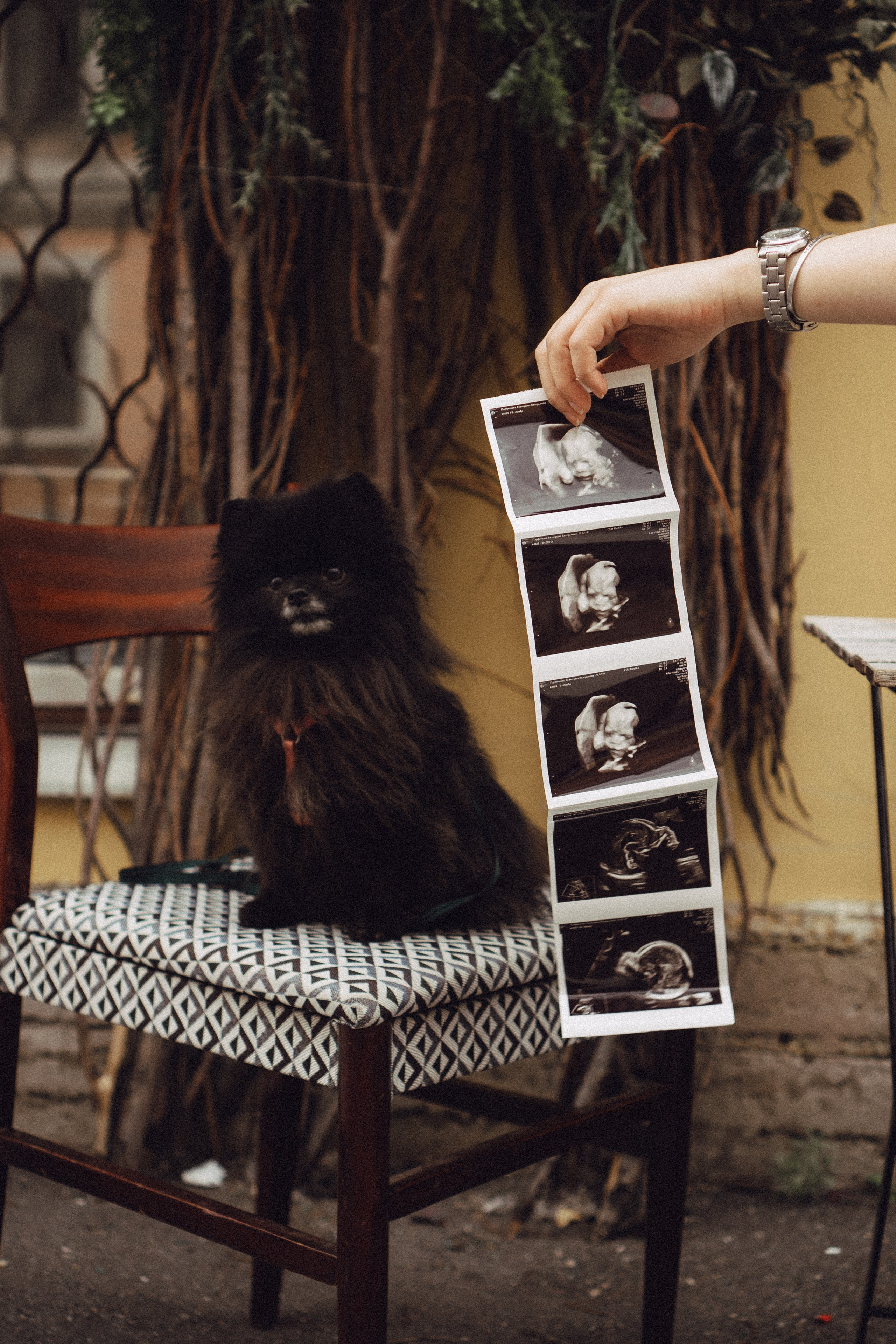 Беременность (только часть фото по желанию клиентов могу показать)). Профессиональный фотограф, Санкт-Петербург — Виктория Богомолова