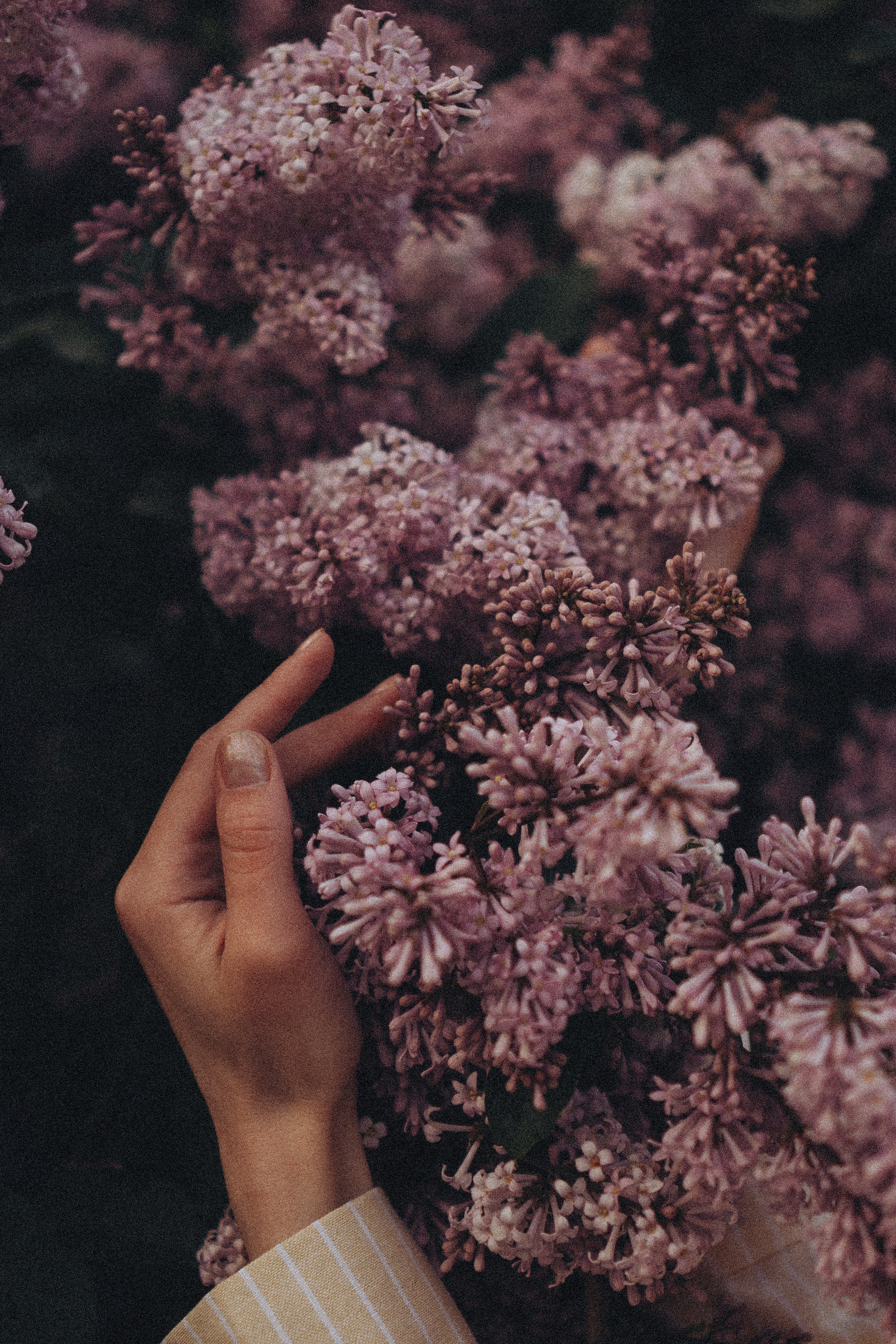 Весна. Профессиональный фотограф, Санкт-Петербург — Виктория Богомолова