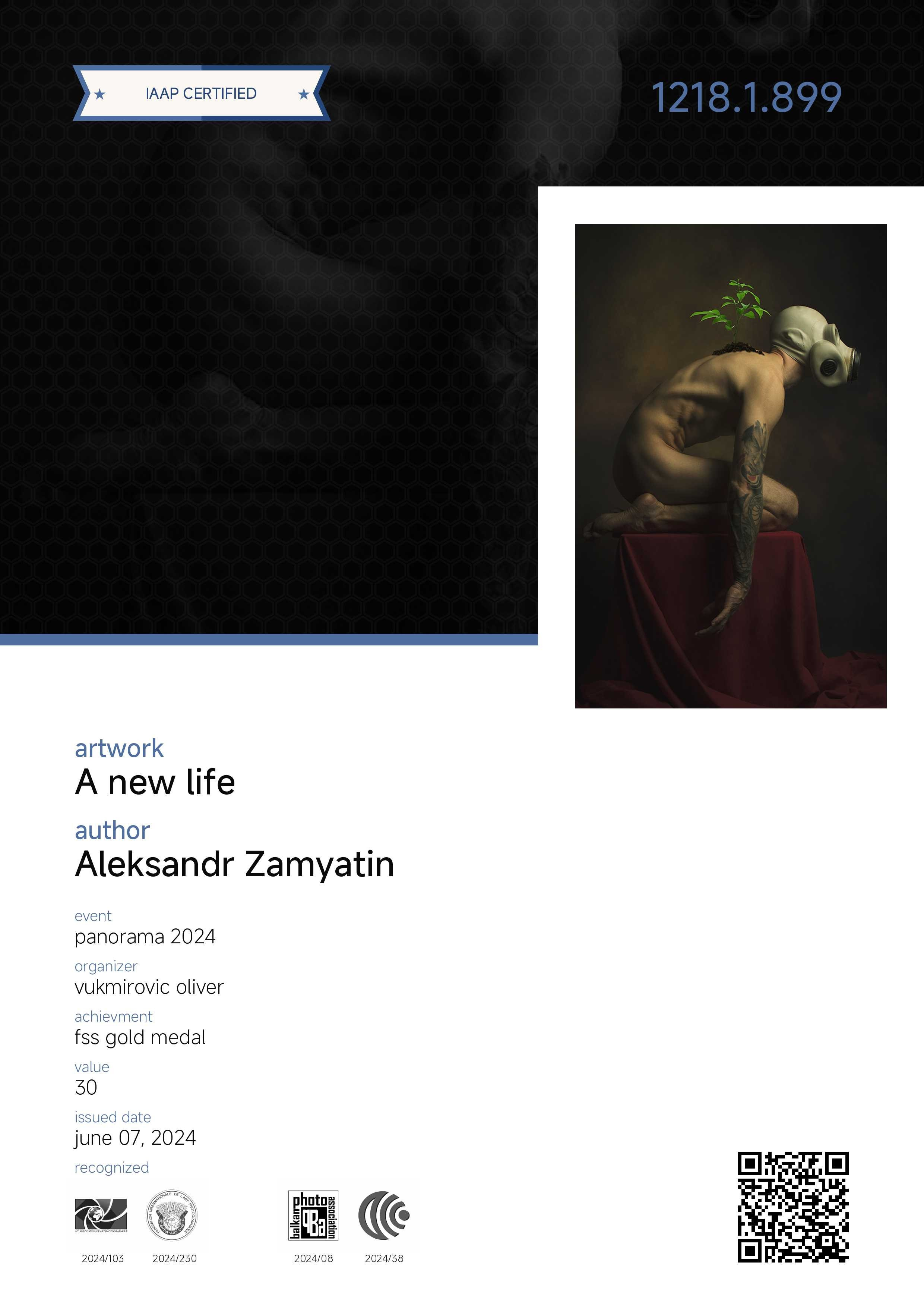 Мои награды