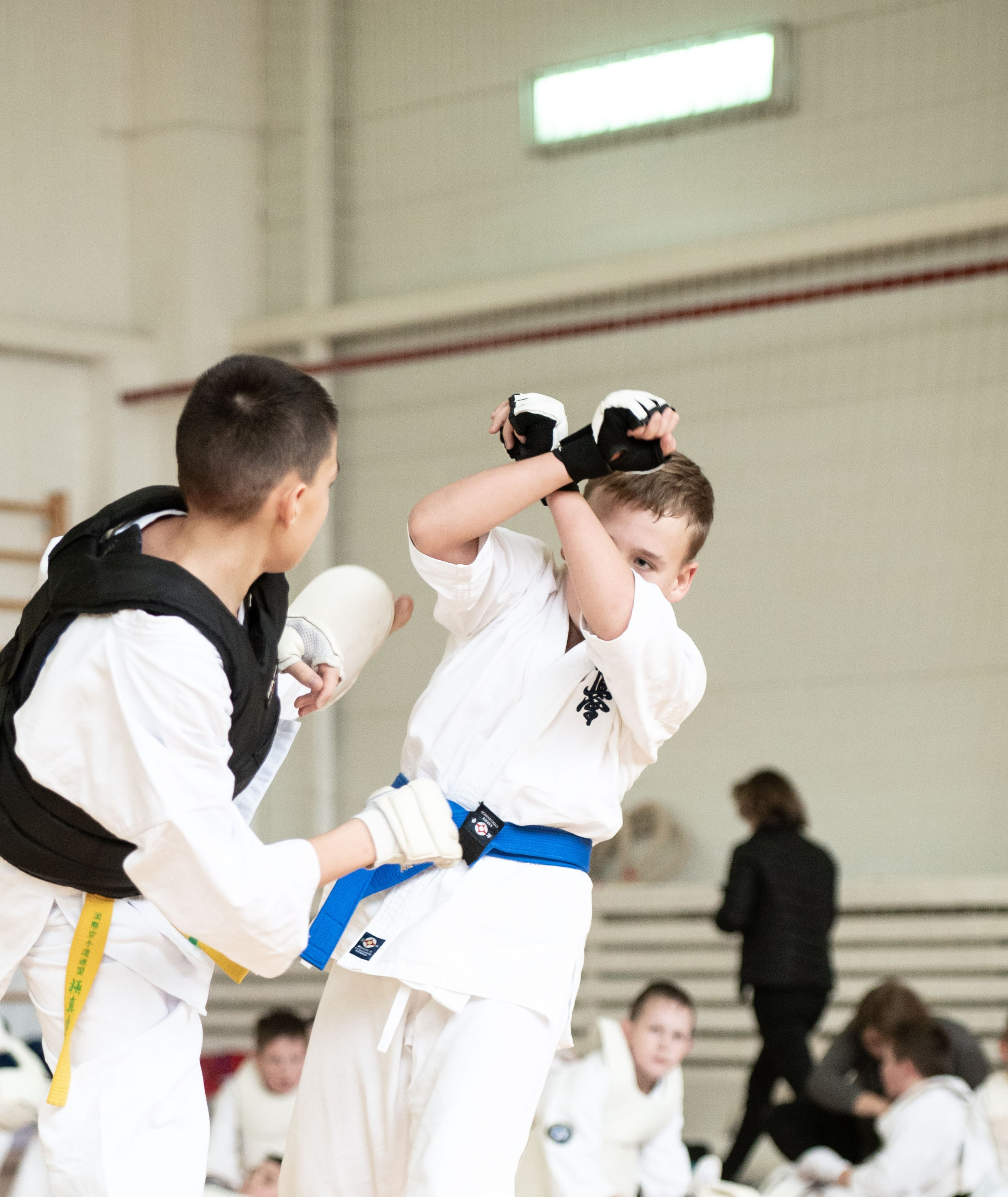 МК карате. Октябрь, 2023. Спортивный фотограф в Туле и Тульской области. Файсханова Фото Спорт