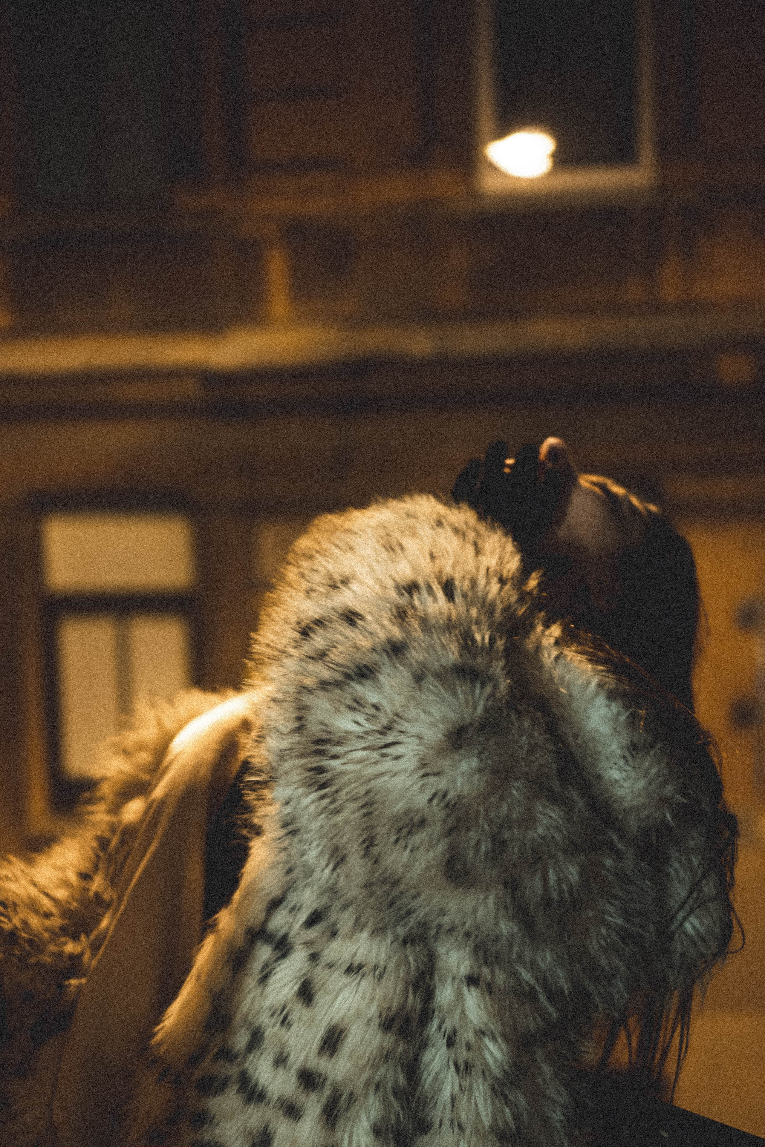 Балкон. Профессиональный фотограф, Санкт-Петербург — Виктория Богомолова