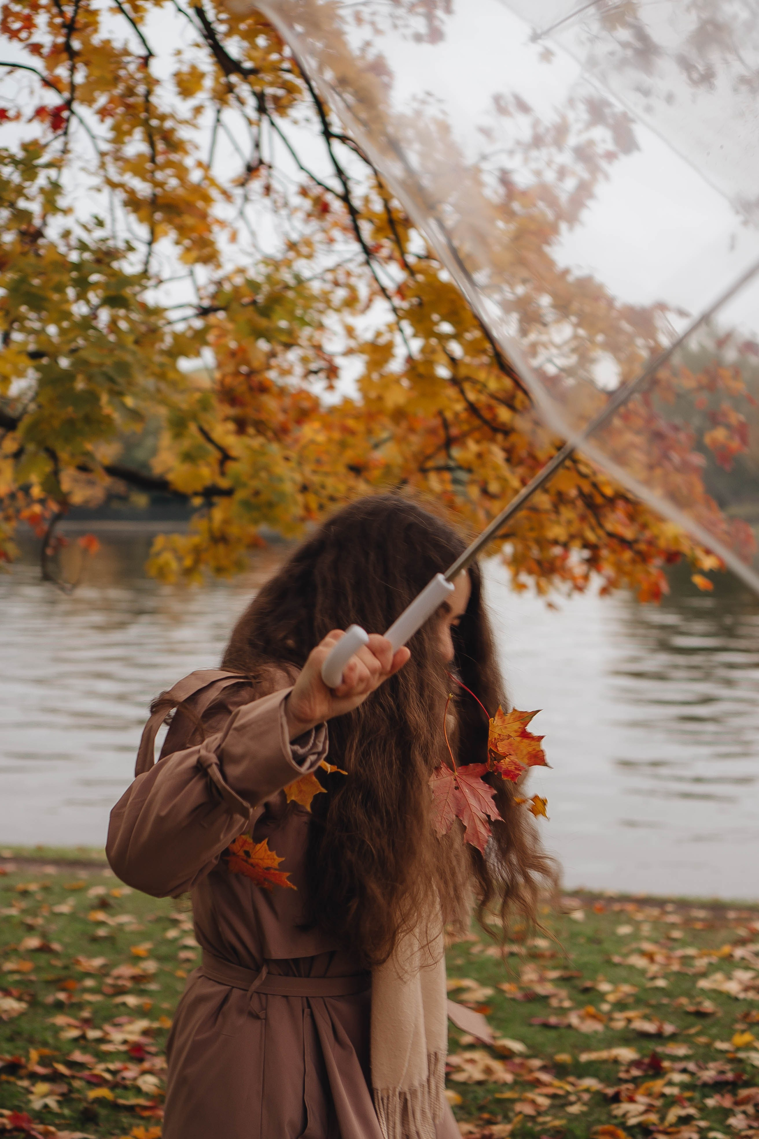 Осень. Профессиональный фотограф, Санкт-Петербург — Виктория Богомолова