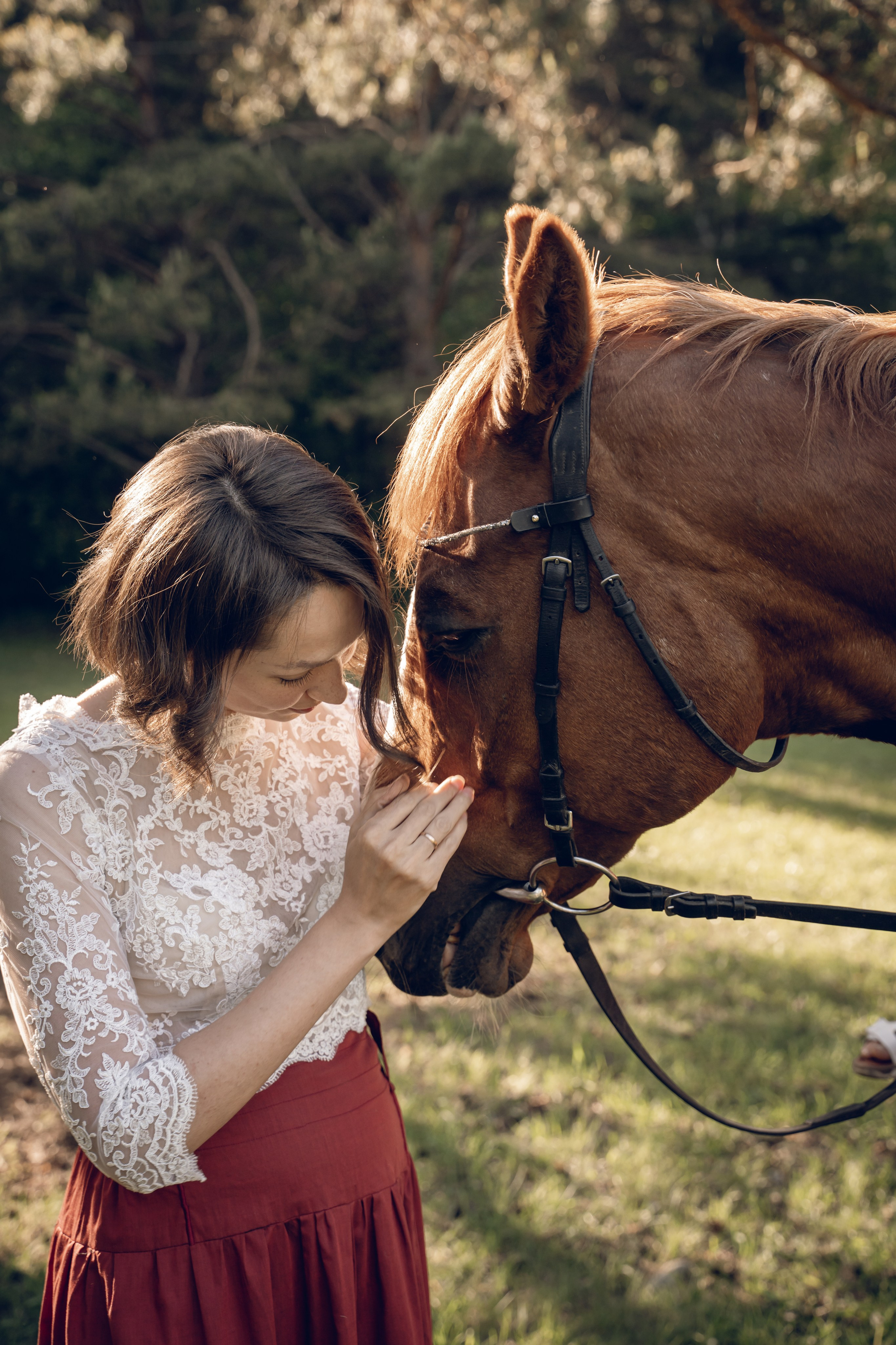 Семейная история с лошадьми. Главная
